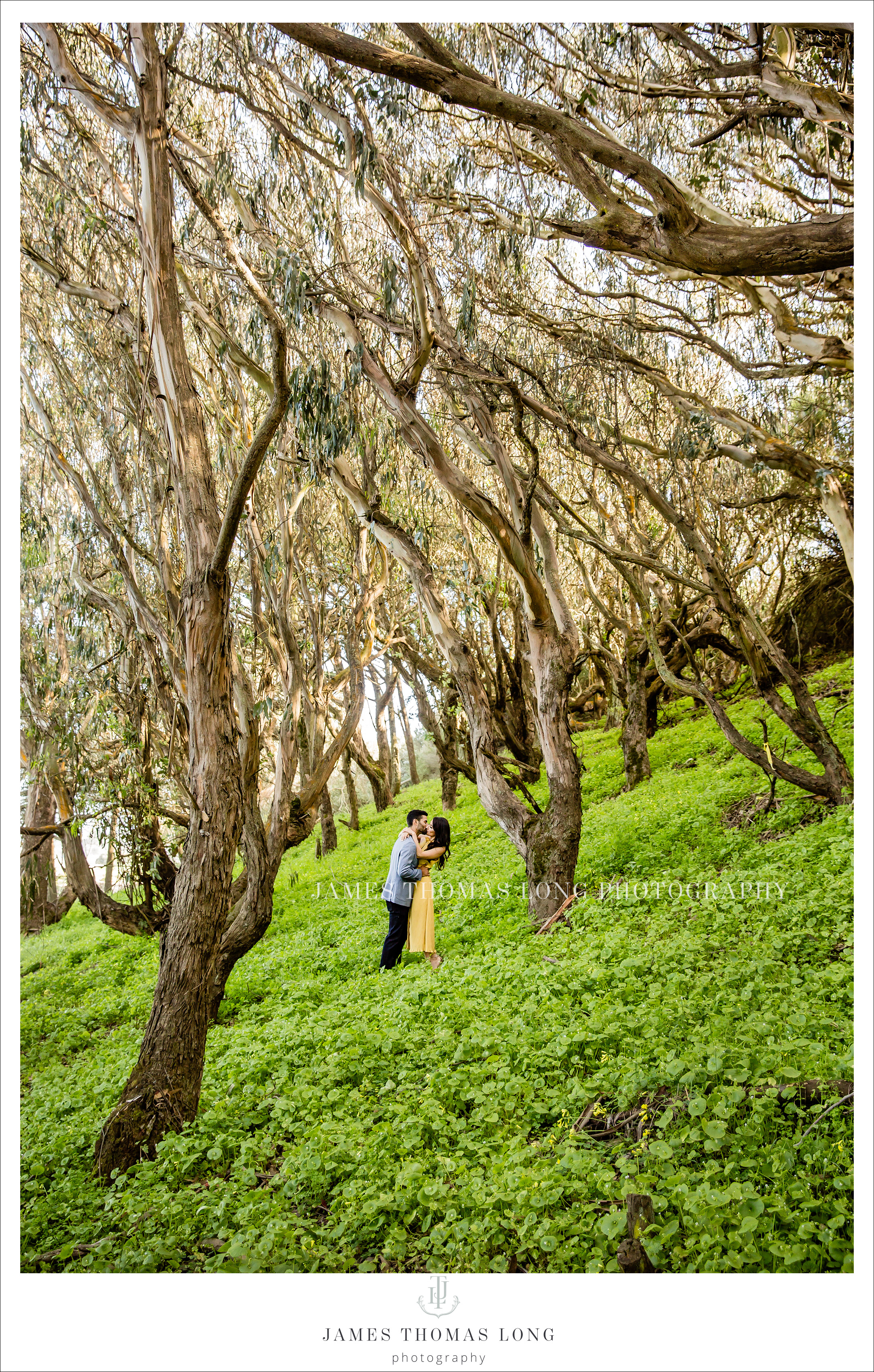 Seattle and Bellevue WA Wedding Photographer James Thomas Long Photography