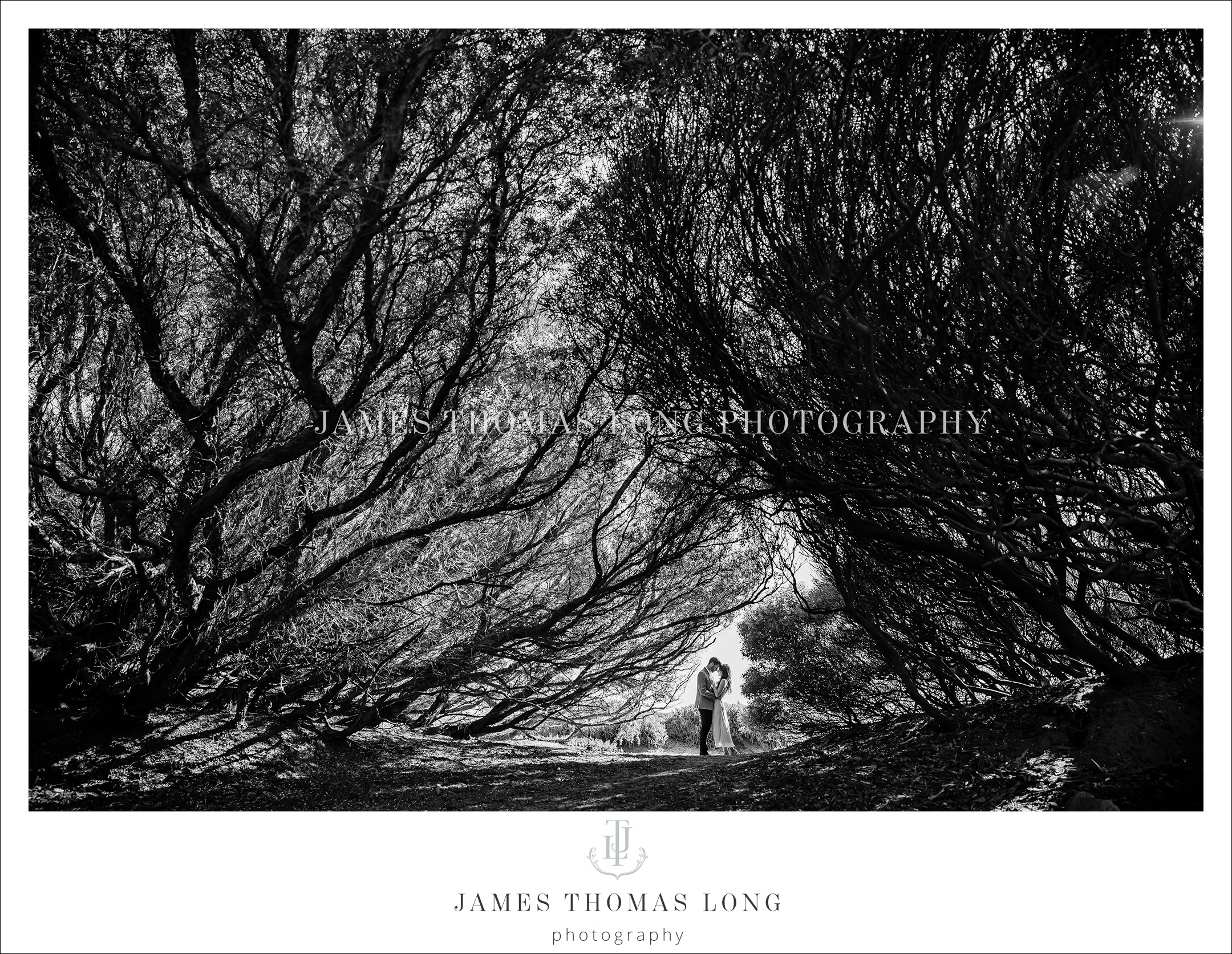 Seattle and Bellevue WA Wedding Photographer James Thomas Long Photography