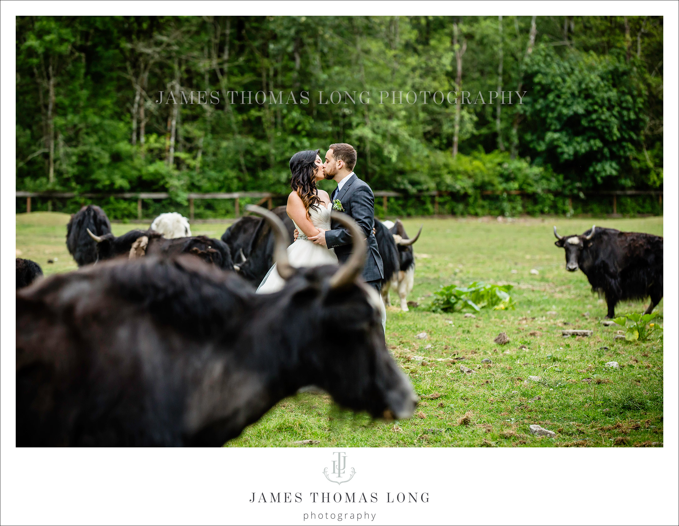 Seattle wedding photographer James Thomas Long Photography