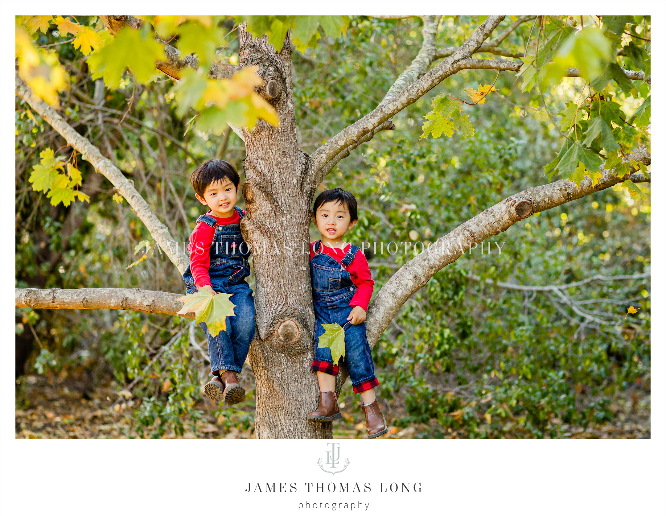 Family Photography session by Bellevue WA Family Photographer James Thomas Long Photography