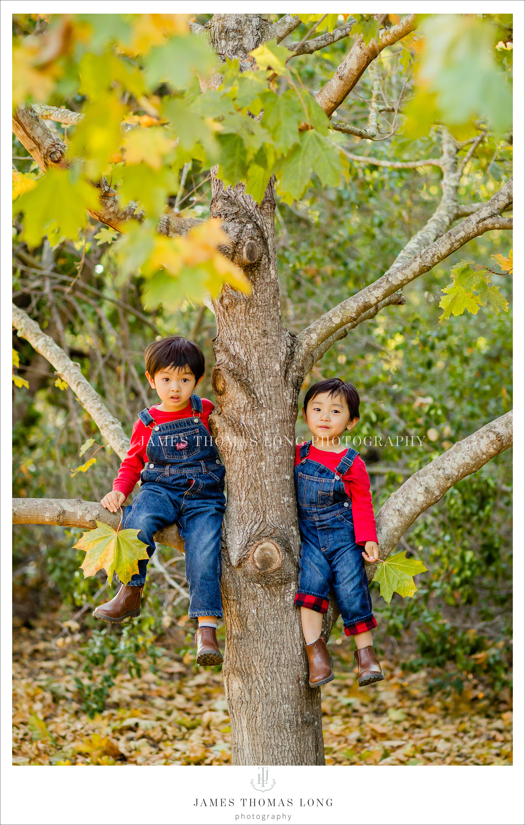 Family Photography session by Bellevue WA Family Photographer James Thomas Long Photography