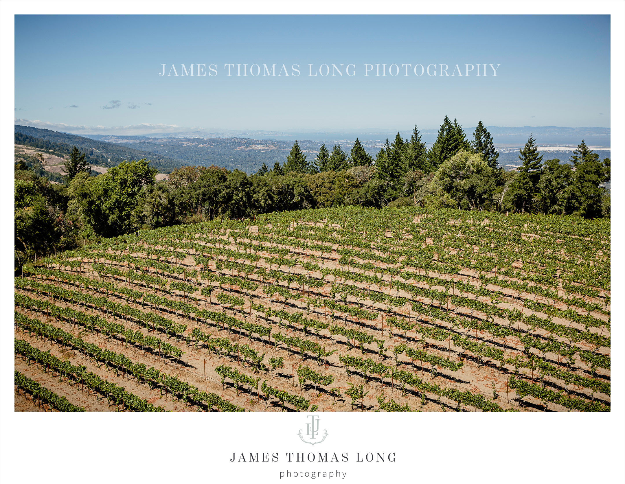 Seattle Indian Wedding Photographer James Thomas Long Photography
