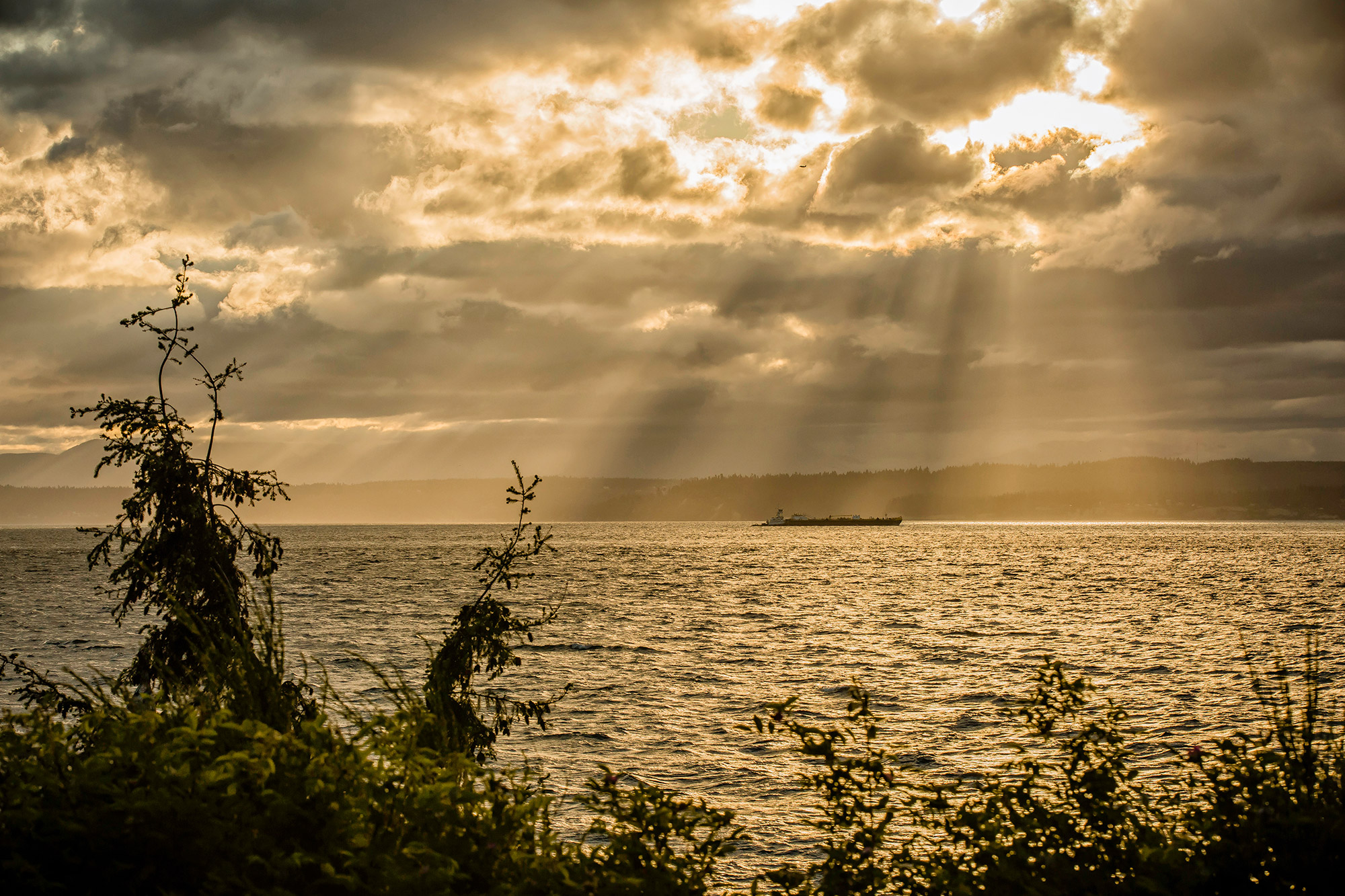 Seattle-WA-Wedding-Photographer-James-Thomas-Long-Photography-Carkeek-Park-Engagement