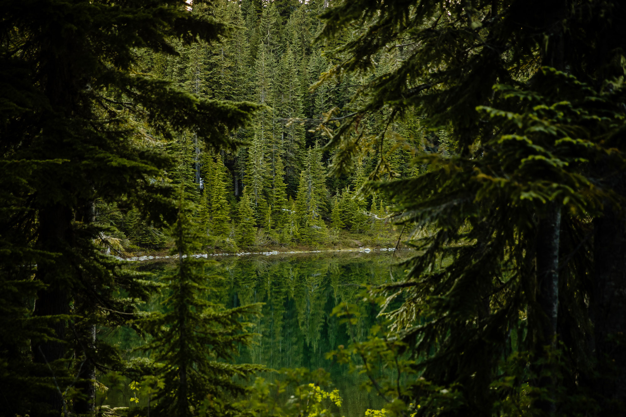 Adventure engagement session in the cascade mountains by Seattle wedding photographer James Thomas Long Photography