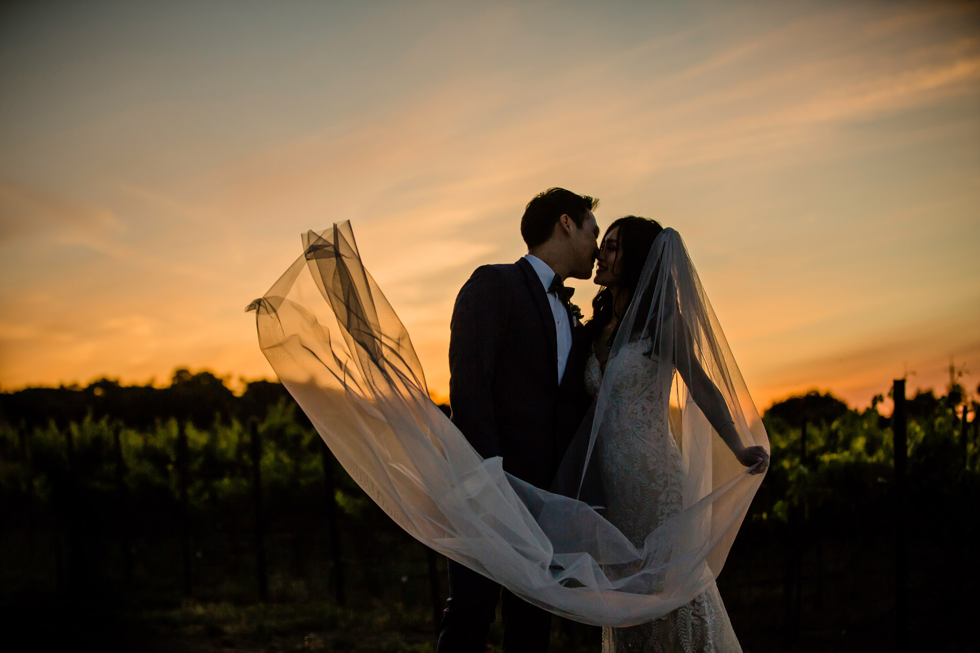 Destination Wedding at Palm Event Center in Pleasanton by Seattle WA Wedding Photographer James Thomas Long Photography