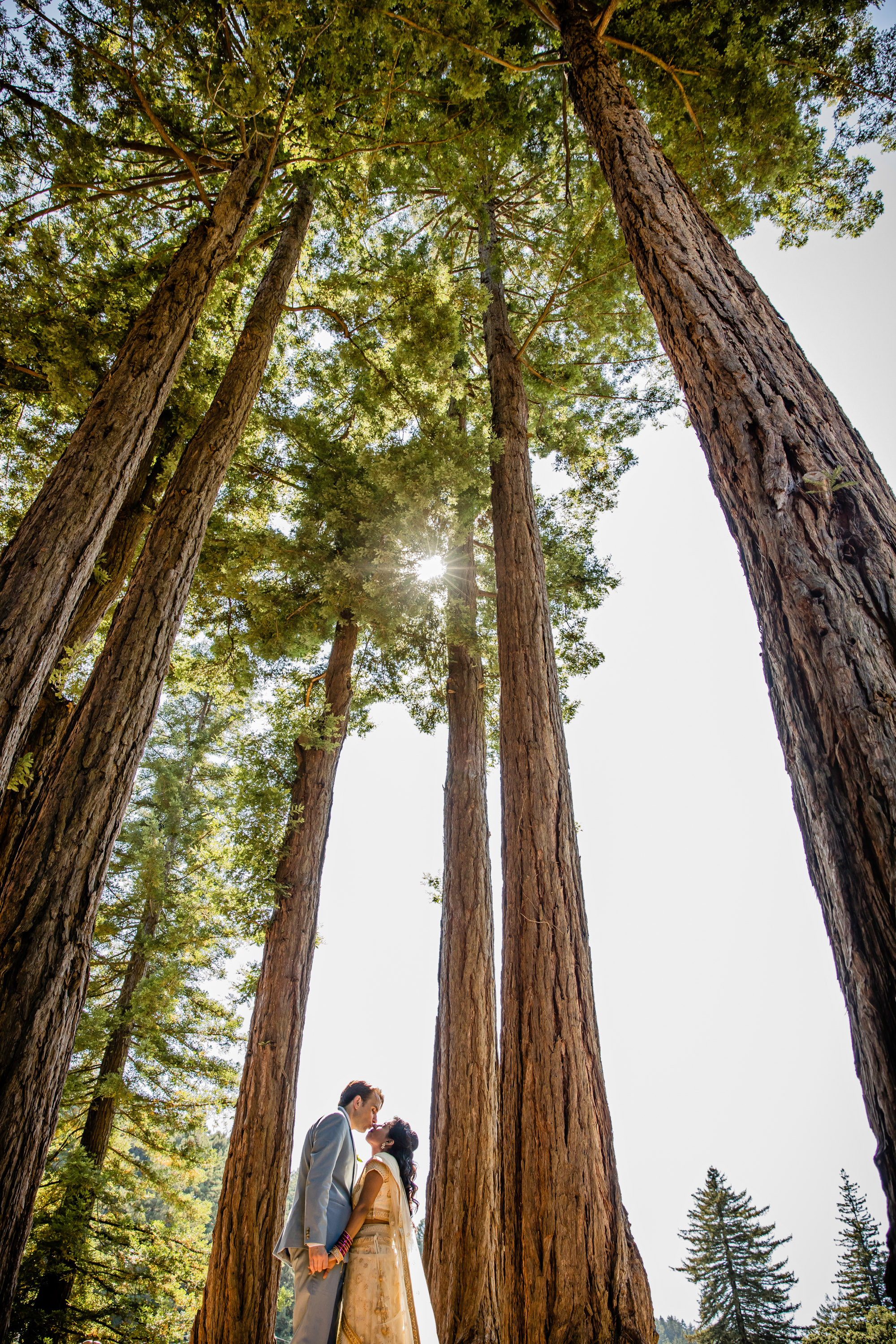 San Francisco Bay Area wedding at the Mountain Terrace by James Thomas Long Photography