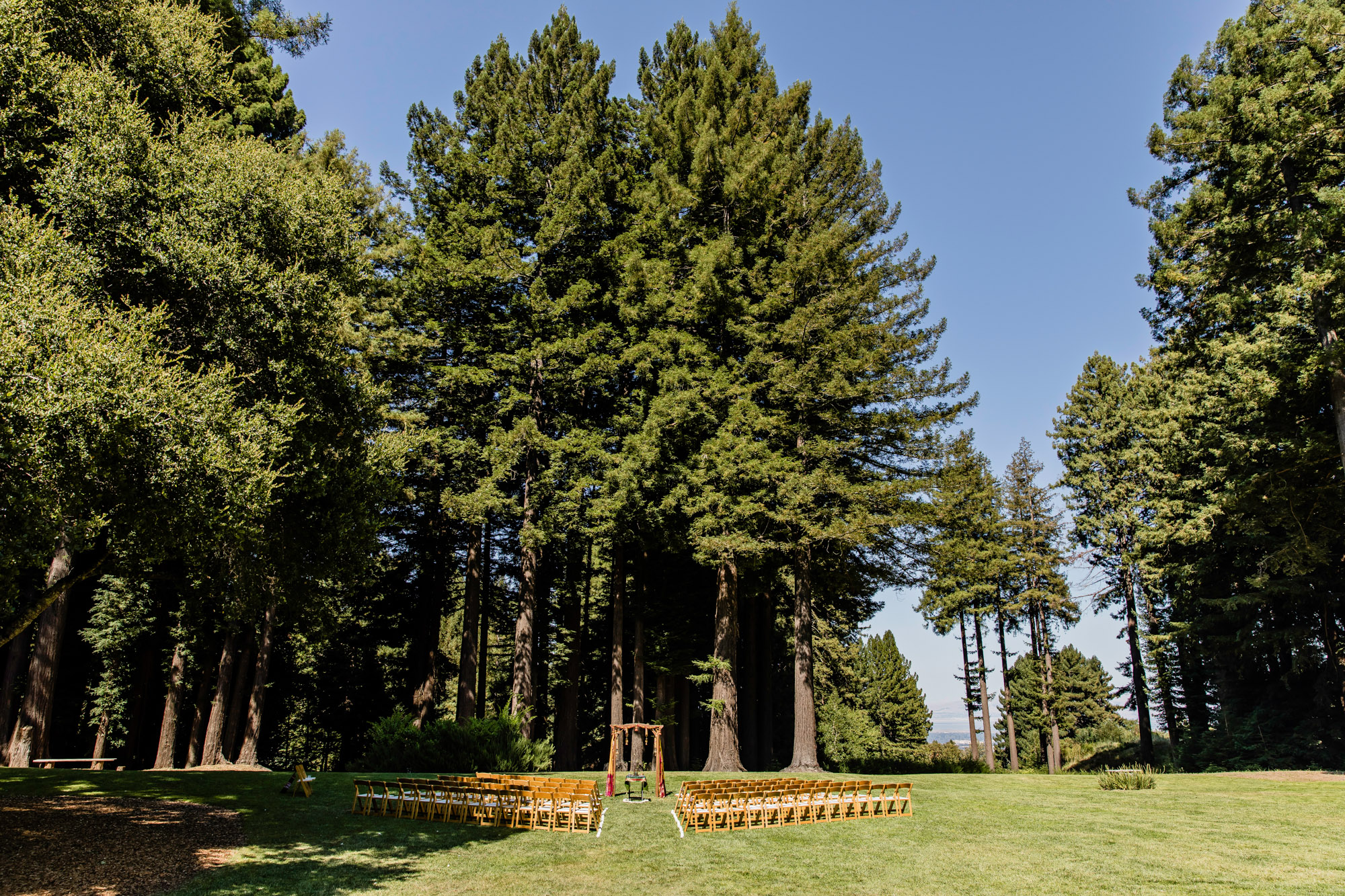 San Francisco Bay Area wedding at the Mountain Terrace by James Thomas Long Photography