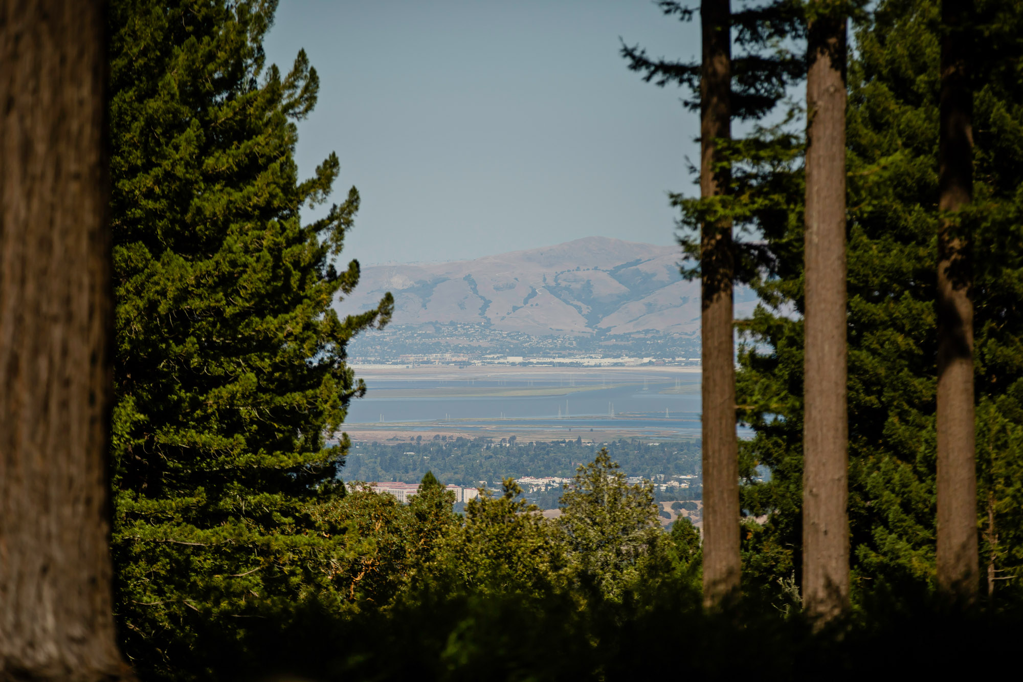 San Francisco Bay Area wedding at the Mountain Terrace by James Thomas Long Photography