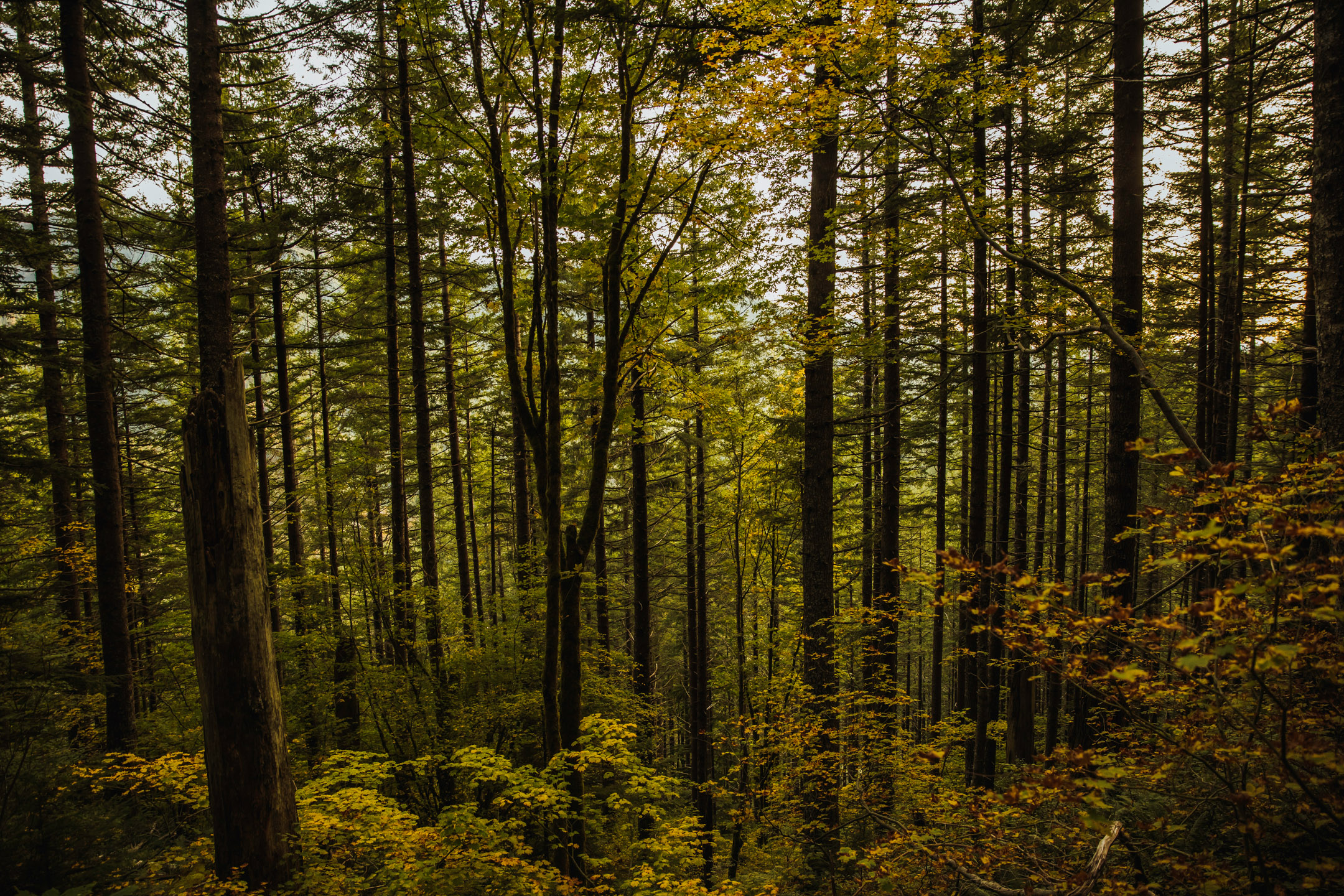 Adventure engagement session in the Cascade mountains by James Thomas Long Photography