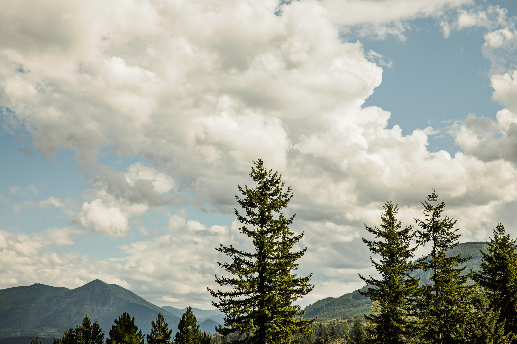 The Club at Snoqualmie Ridge wedding by James Thomas Long Photography