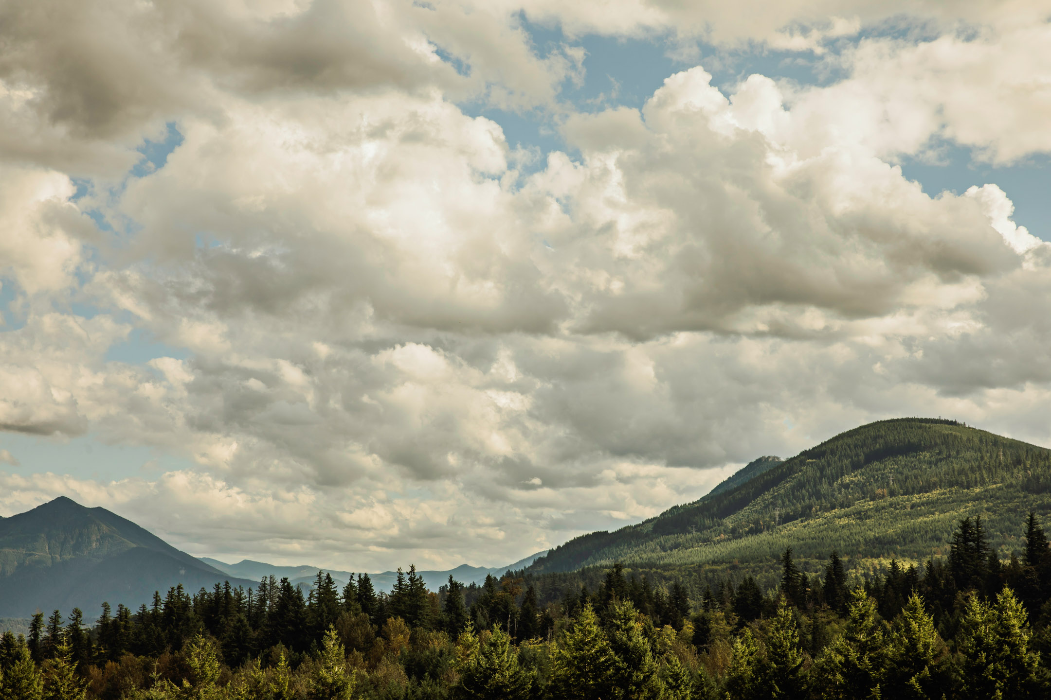 The Club at Snoqualmie Ridge wedding by James Thomas Long Photography