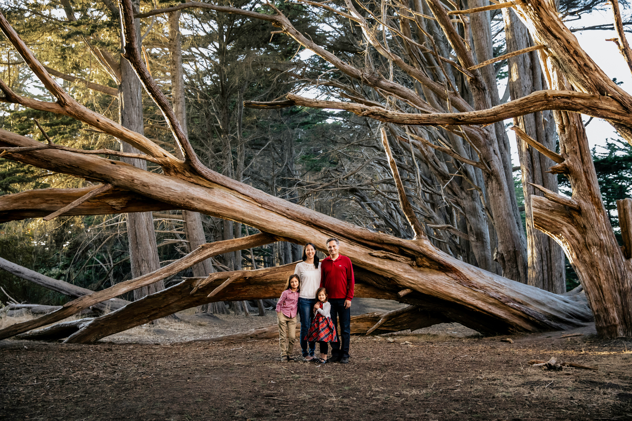 San Francisco Bay Area family session by Seattle family photographer James Thomas Long Photography