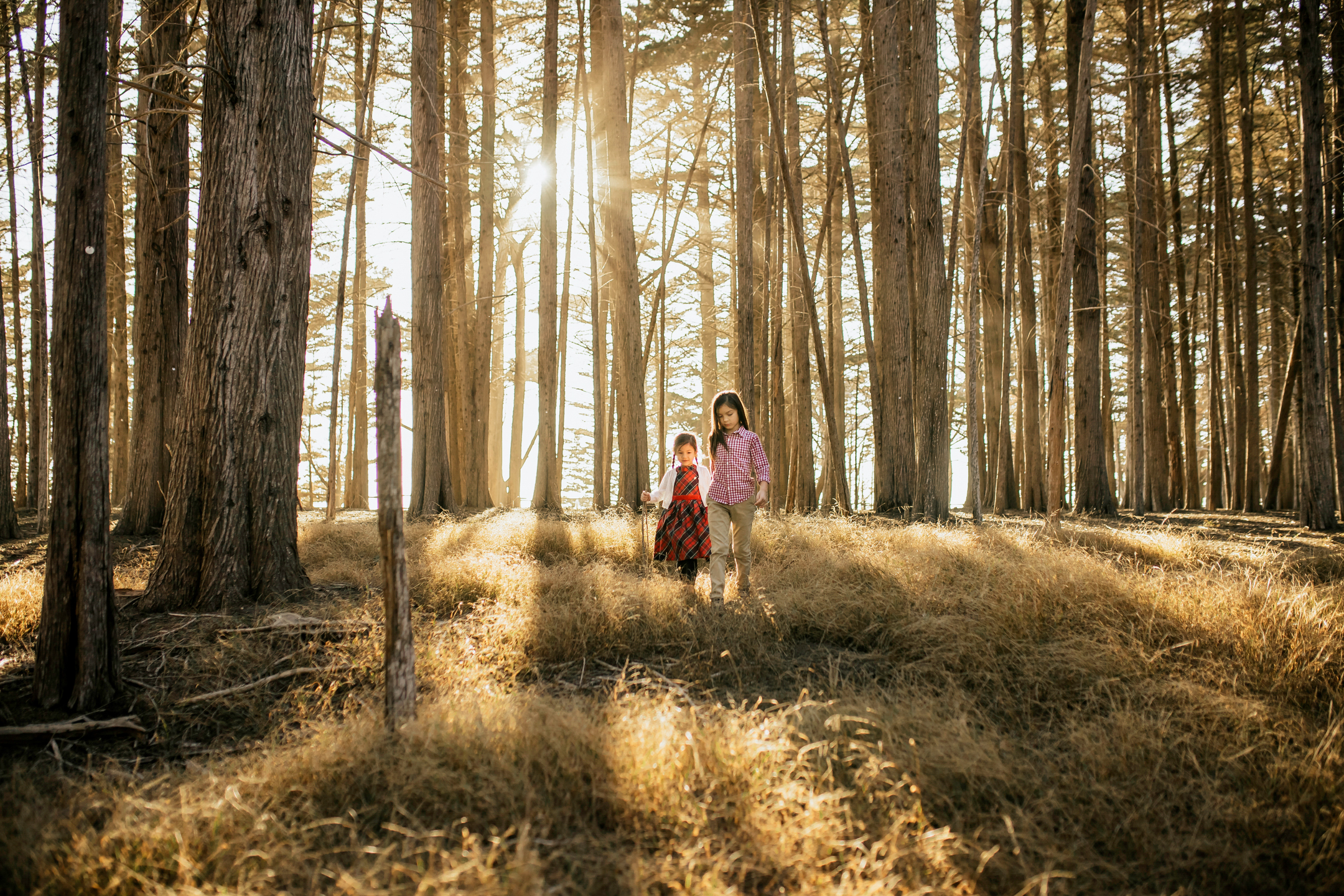 San Francisco Bay Area family session by Seattle family photographer James Thomas Long Photography