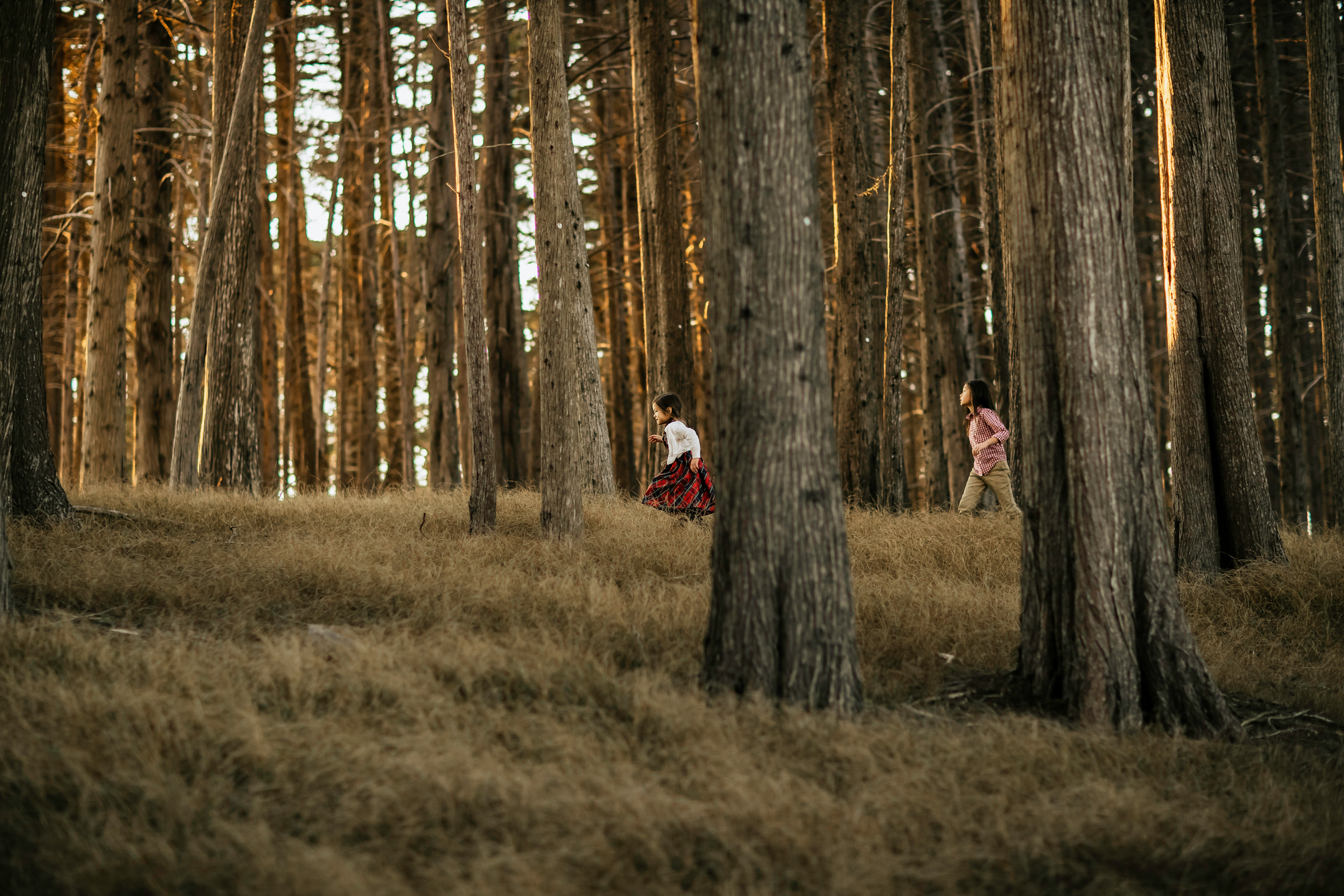 San Francisco Bay Area family session by Seattle family photographer James Thomas Long Photography