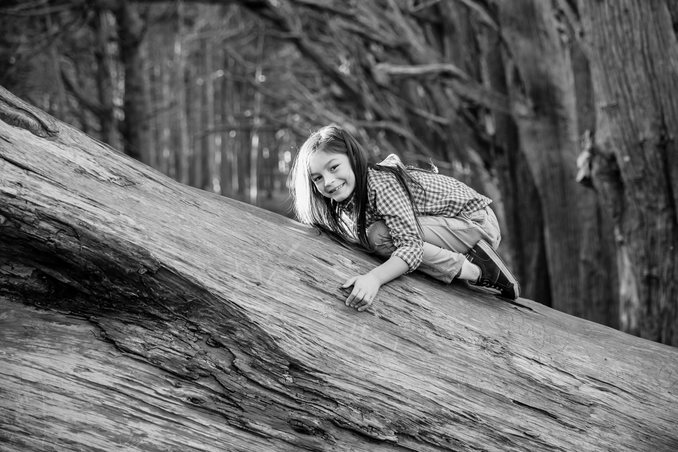 San Francisco Bay Area family session by Seattle family photographer James Thomas Long Photography