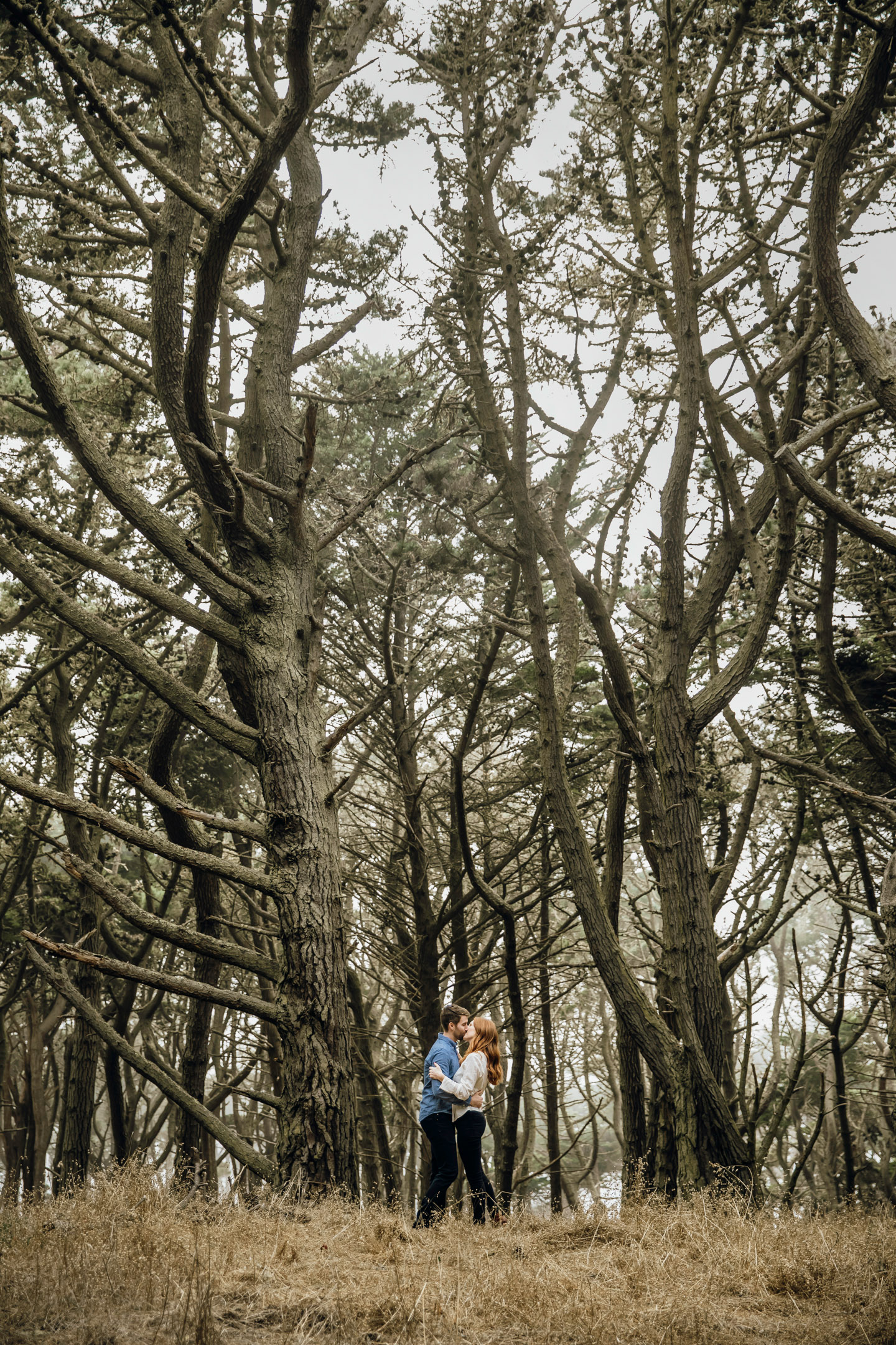 San Francisco Land's End engagement photos by Seattle wedding photographer James Thomas Long Photography