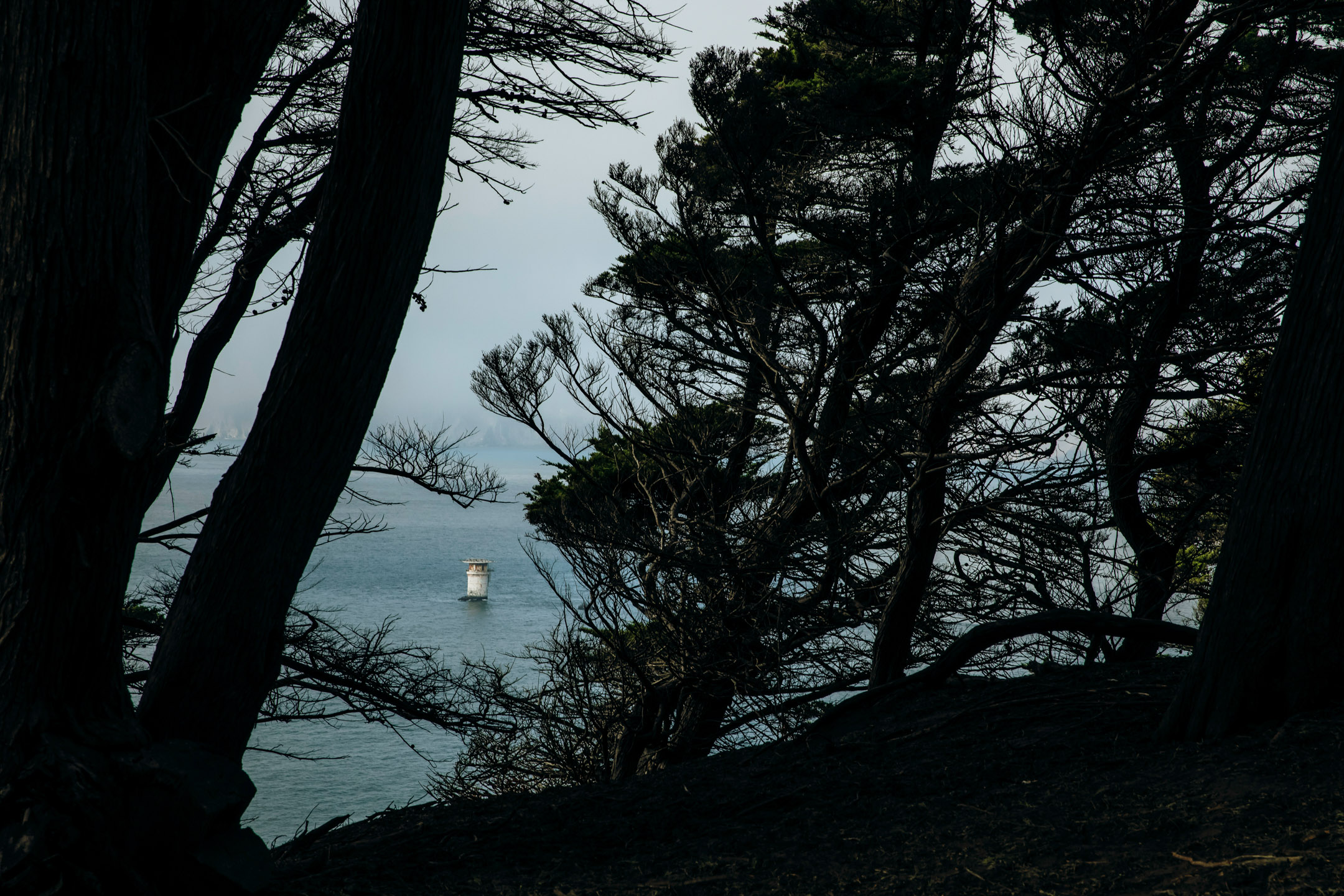 San Francisco Land's End engagement photos by Seattle wedding photographer James Thomas Long Photography