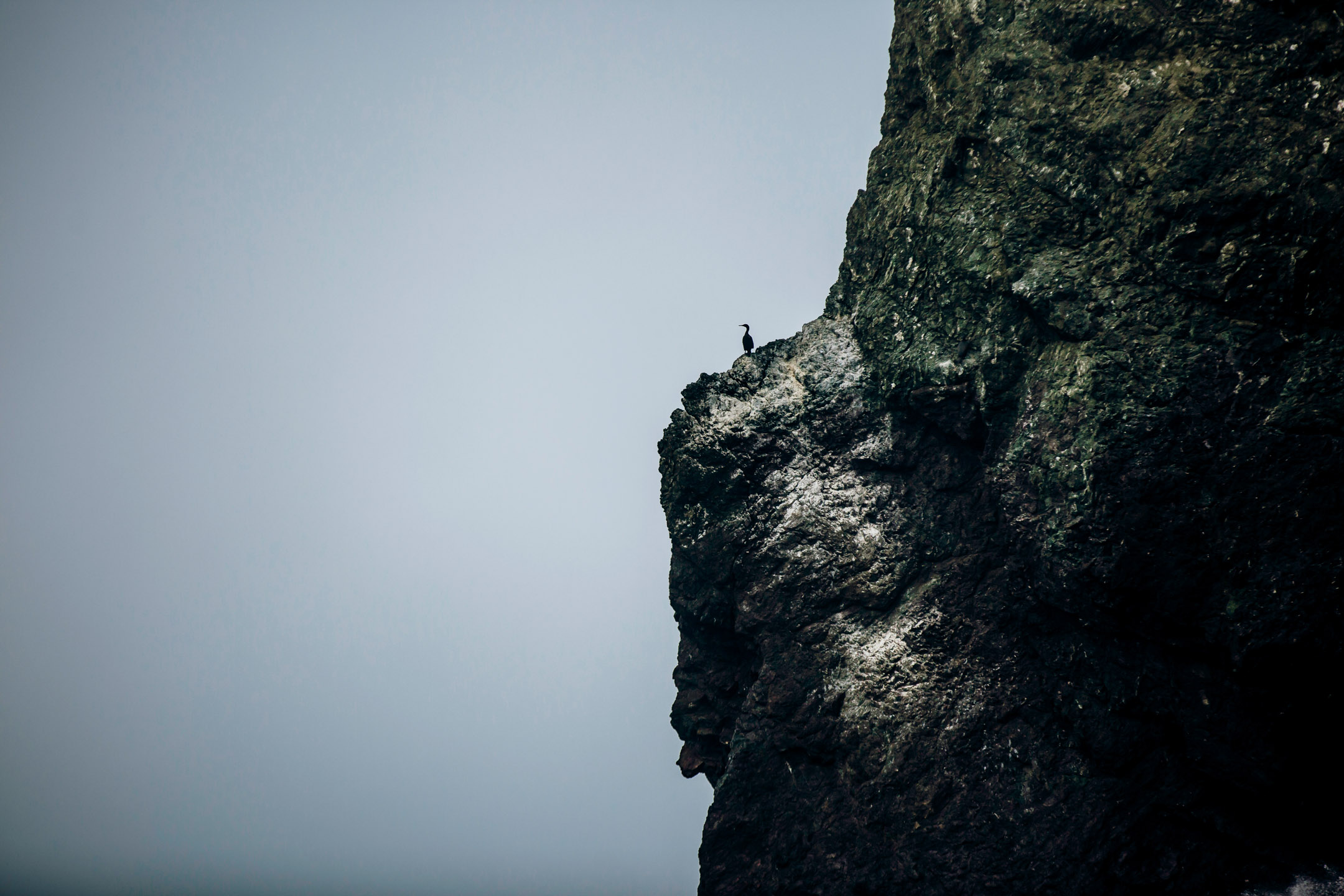 San Francisco Land's End engagement photos by Seattle wedding photographer James Thomas Long Photography