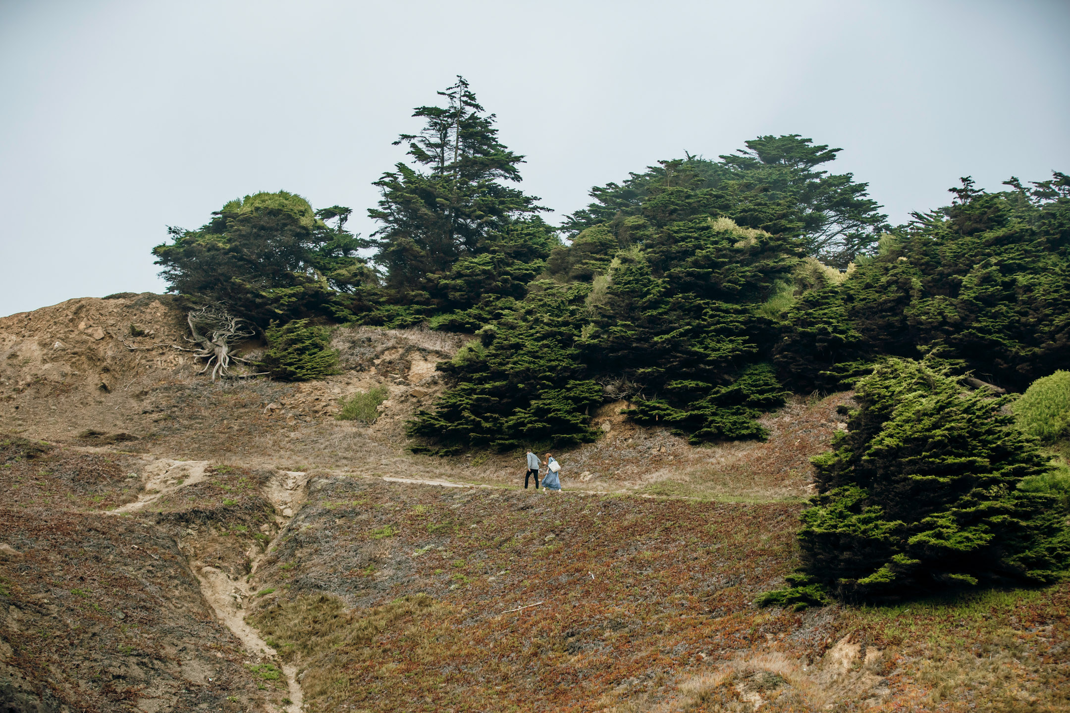 San Francisco Land's End engagement photos by Seattle wedding photographer James Thomas Long Photography