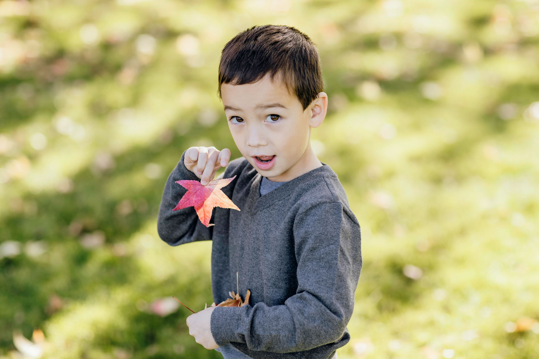 San Francisco East Bay family photography session by James Thomas Long Photography