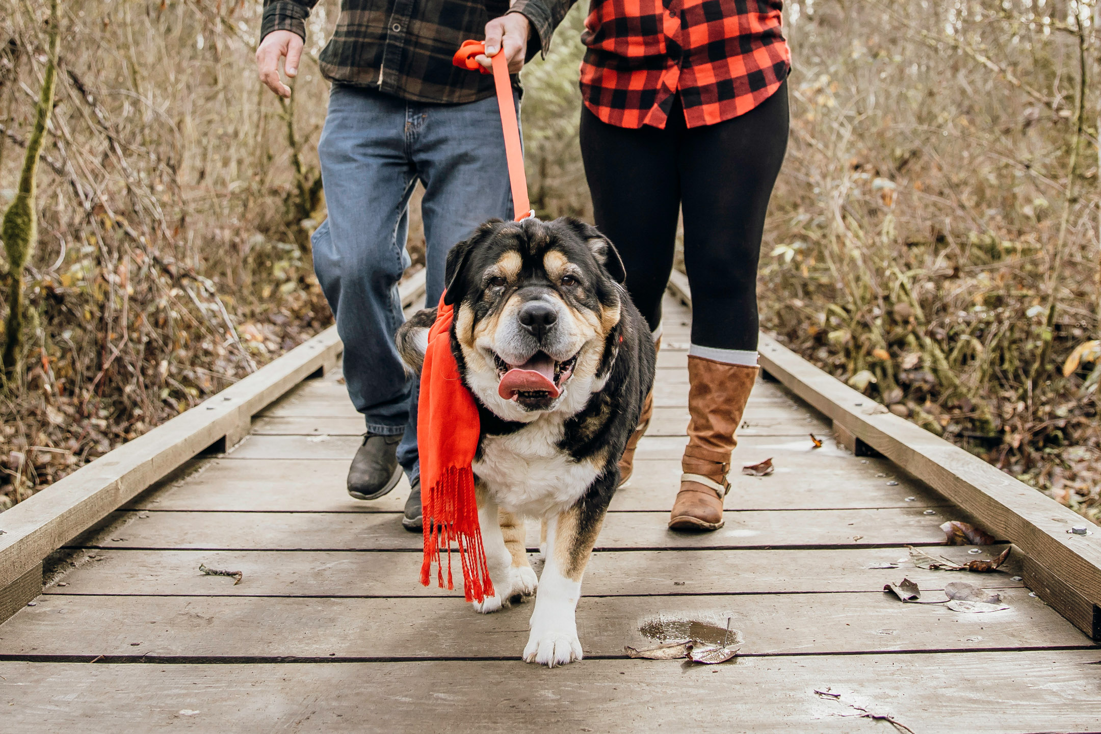 Flaming Geyser State Park engagement session by Seattle adventure wedding photographer James Thomas Long Photography