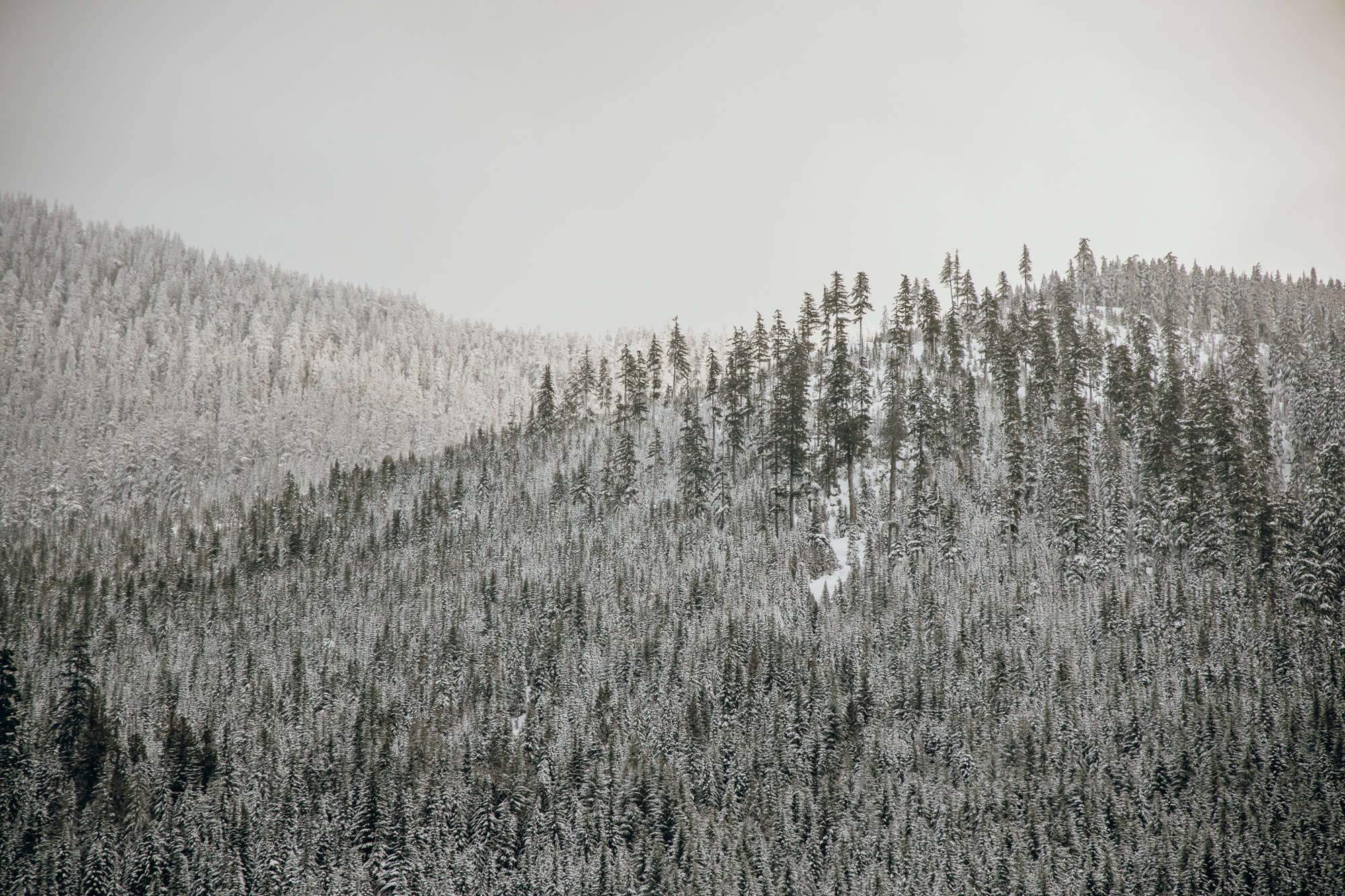 Snoqualmie Pass adventure engagement session by Seattle wedding photographer James Thomas Long Photography