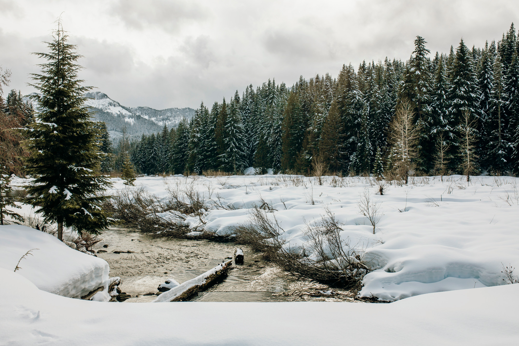 Snoqualmie Pass family of four session in the snow by Seattle family photographer James Thomas Long Photography