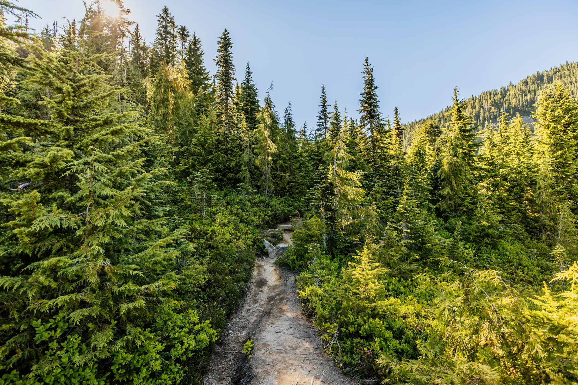 Mount Rainier adventure engagement session by Seattle wedding photographer James Thomas Long Photography