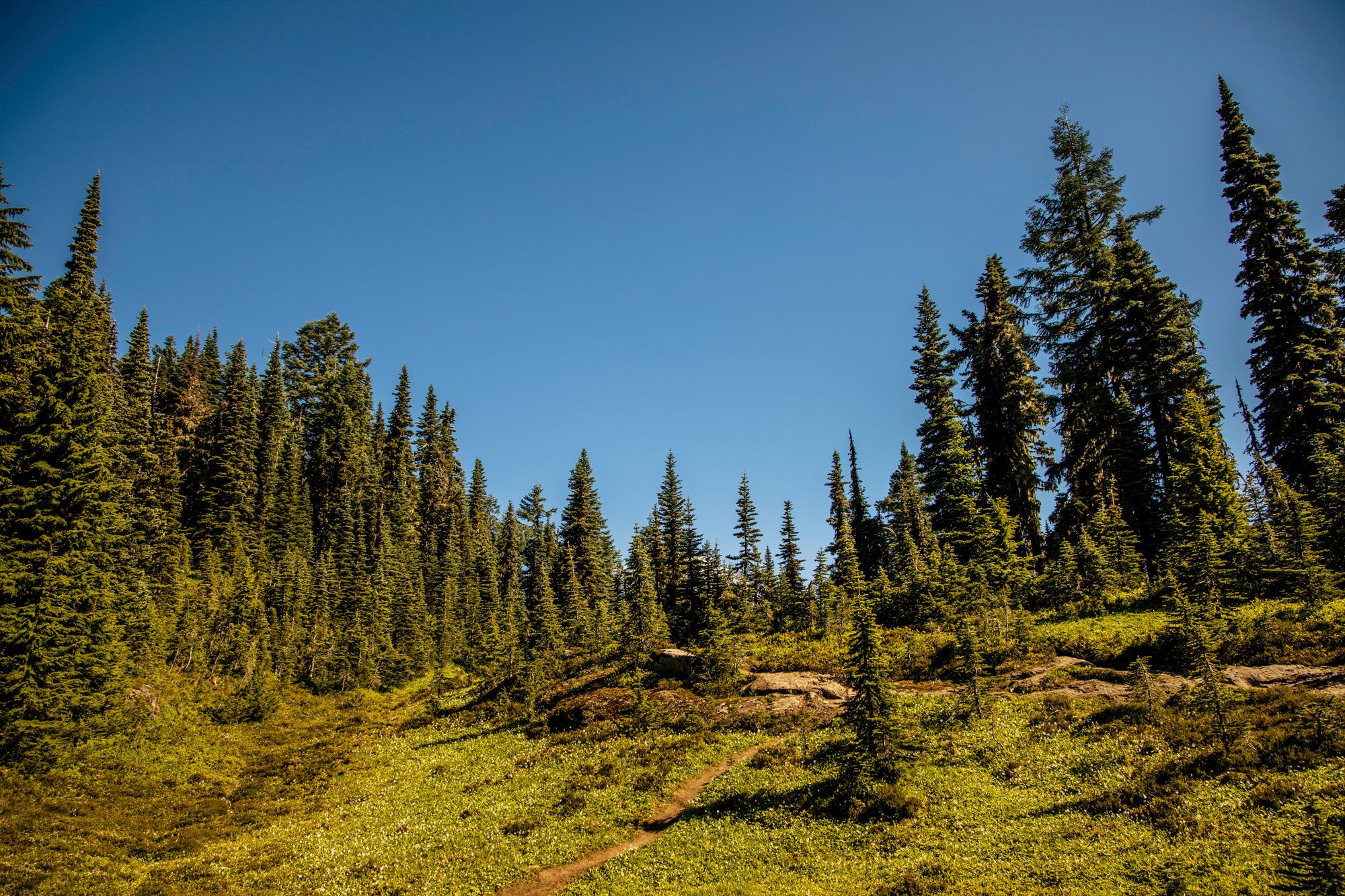 Mount Rainier adventure engagement session by Seattle wedding photographer James Thomas Long Photography