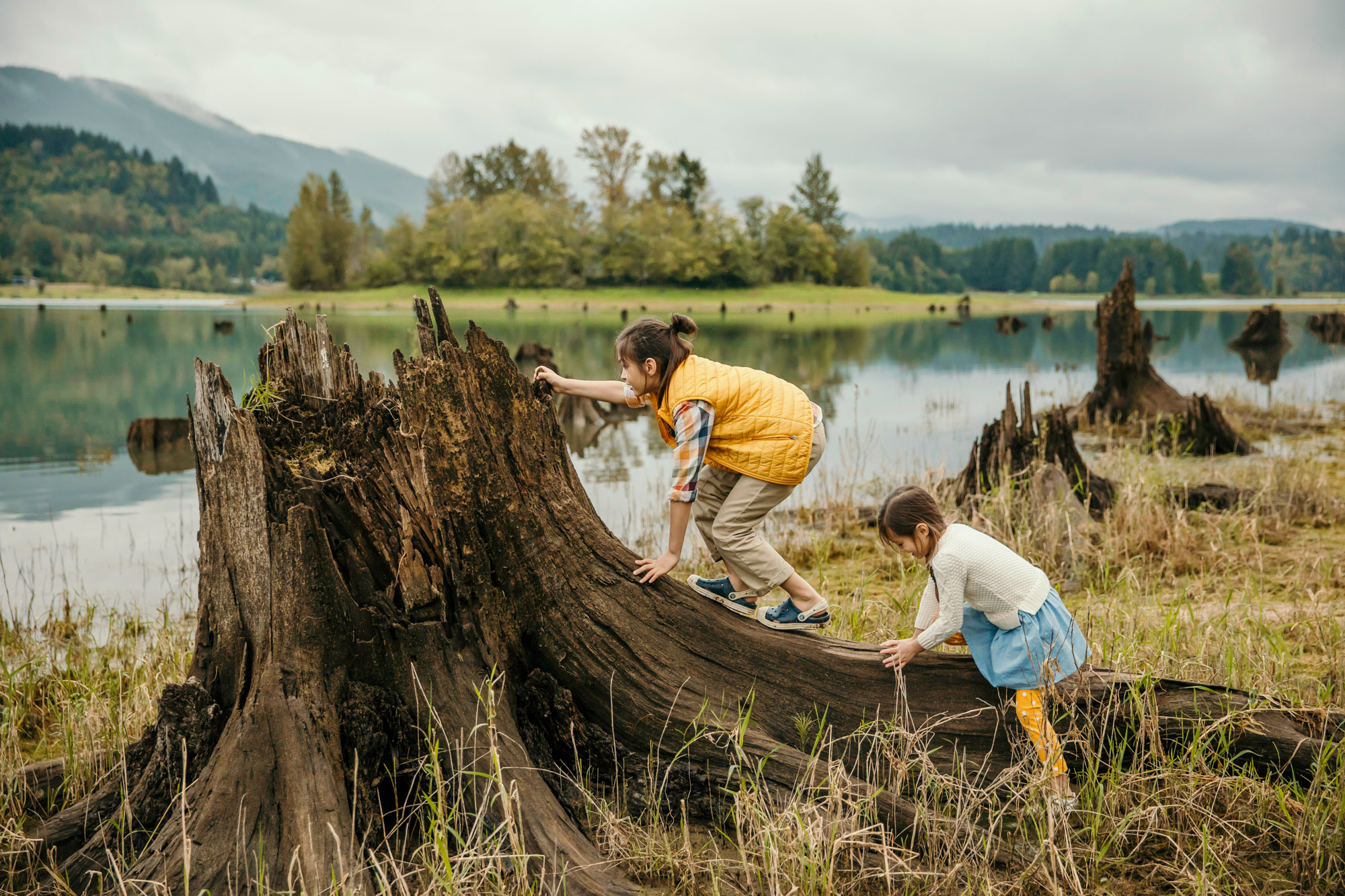 Family of four at Alder lake by Seattle family photographer James Thomas Long Photography