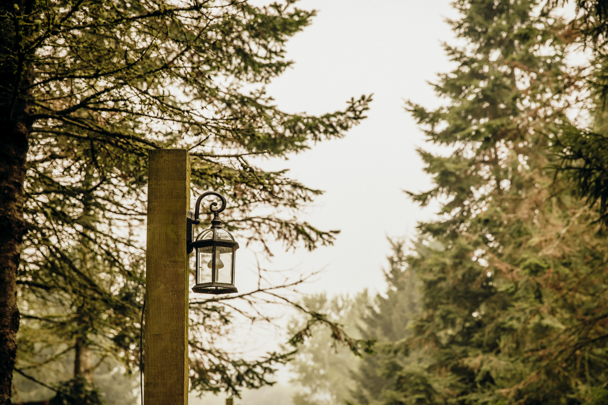 Woodland Meadow Farm Snohomish Wedding by James Thomas Long Photography