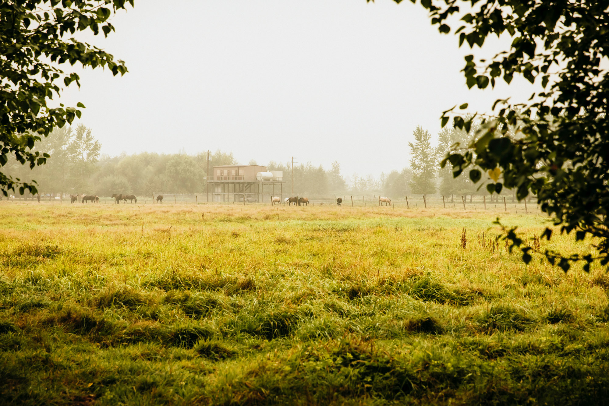 Woodland Meadow Farm Snohomish Wedding by James Thomas Long Photography