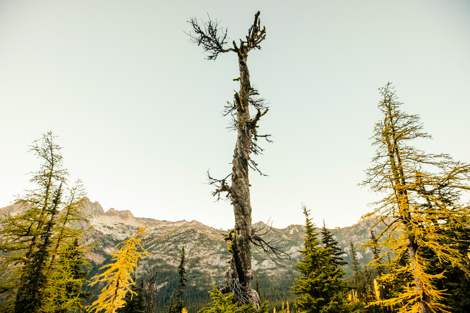 North Cascade Adventure engagement session by Seattle Wedding Photographer James Thomas Long Photography