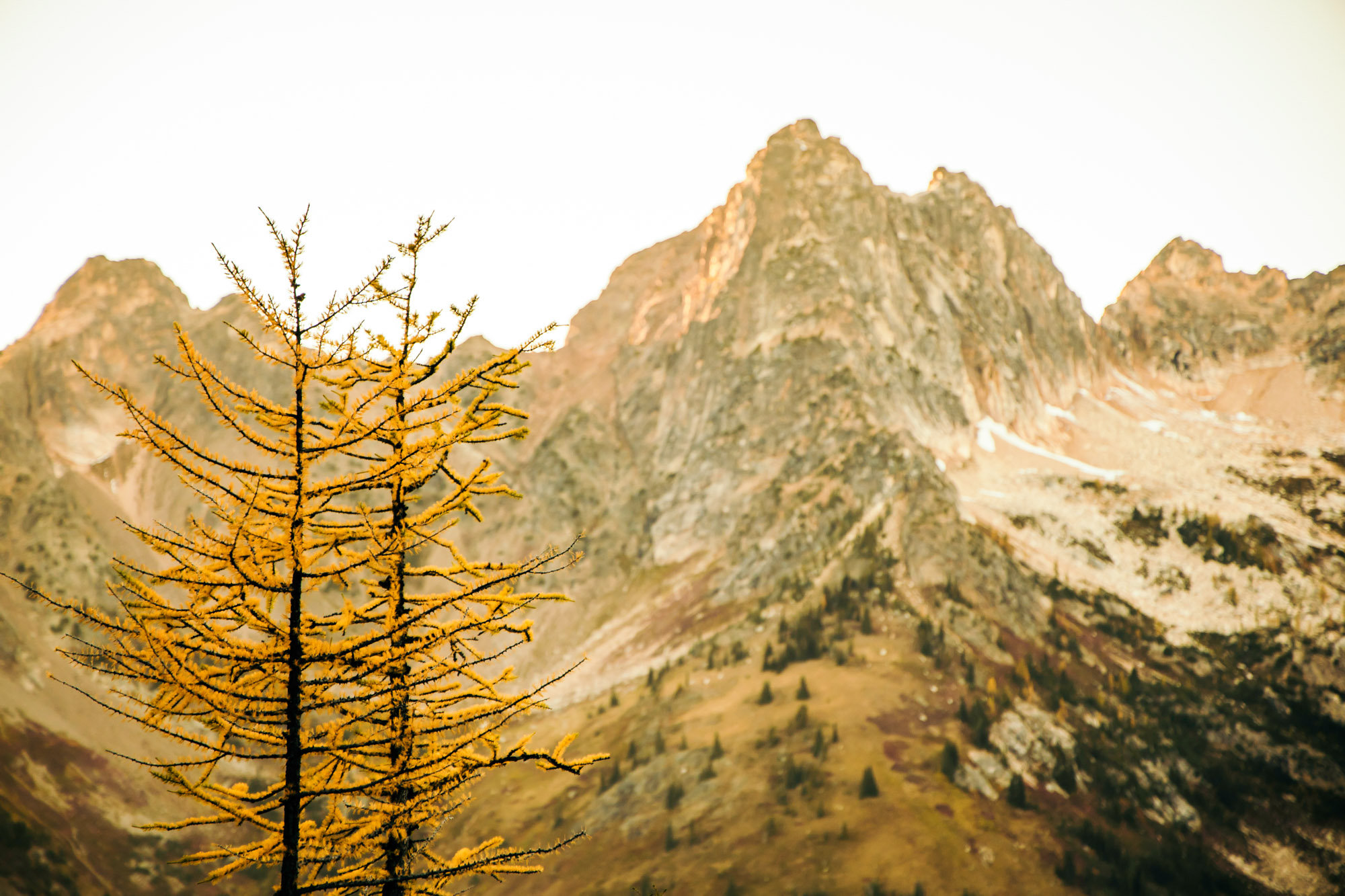 North Cascade Adventure engagement session by Seattle Wedding Photographer James Thomas Long Photography