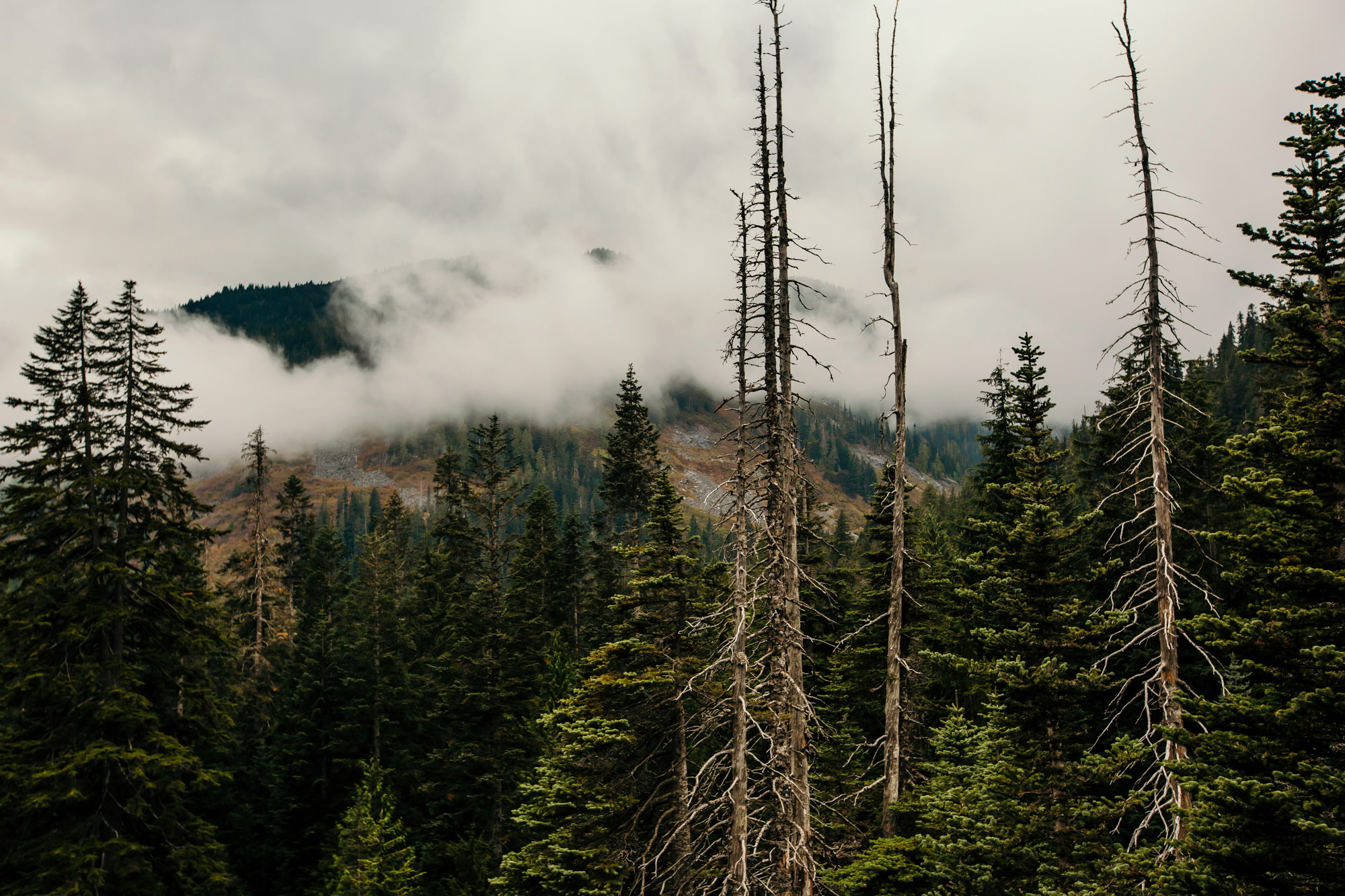 Adventure elopement in the Cascade Mountains by Seattle Wedding Photographer James Thomas Long Photography