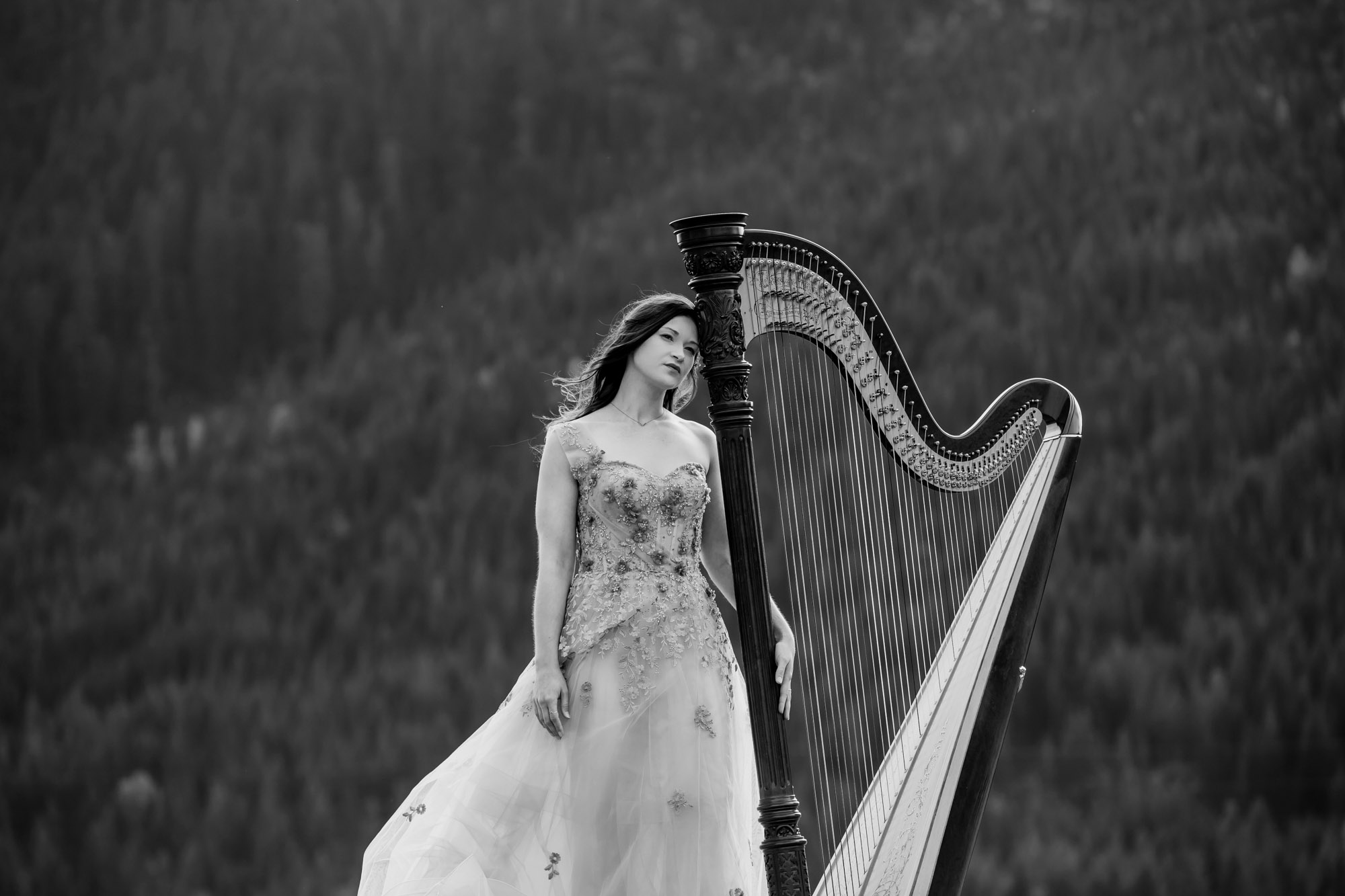 Portrait of a harpist in the Cascade Mountains by Seattle portrait photographer James Thomas Long Photography