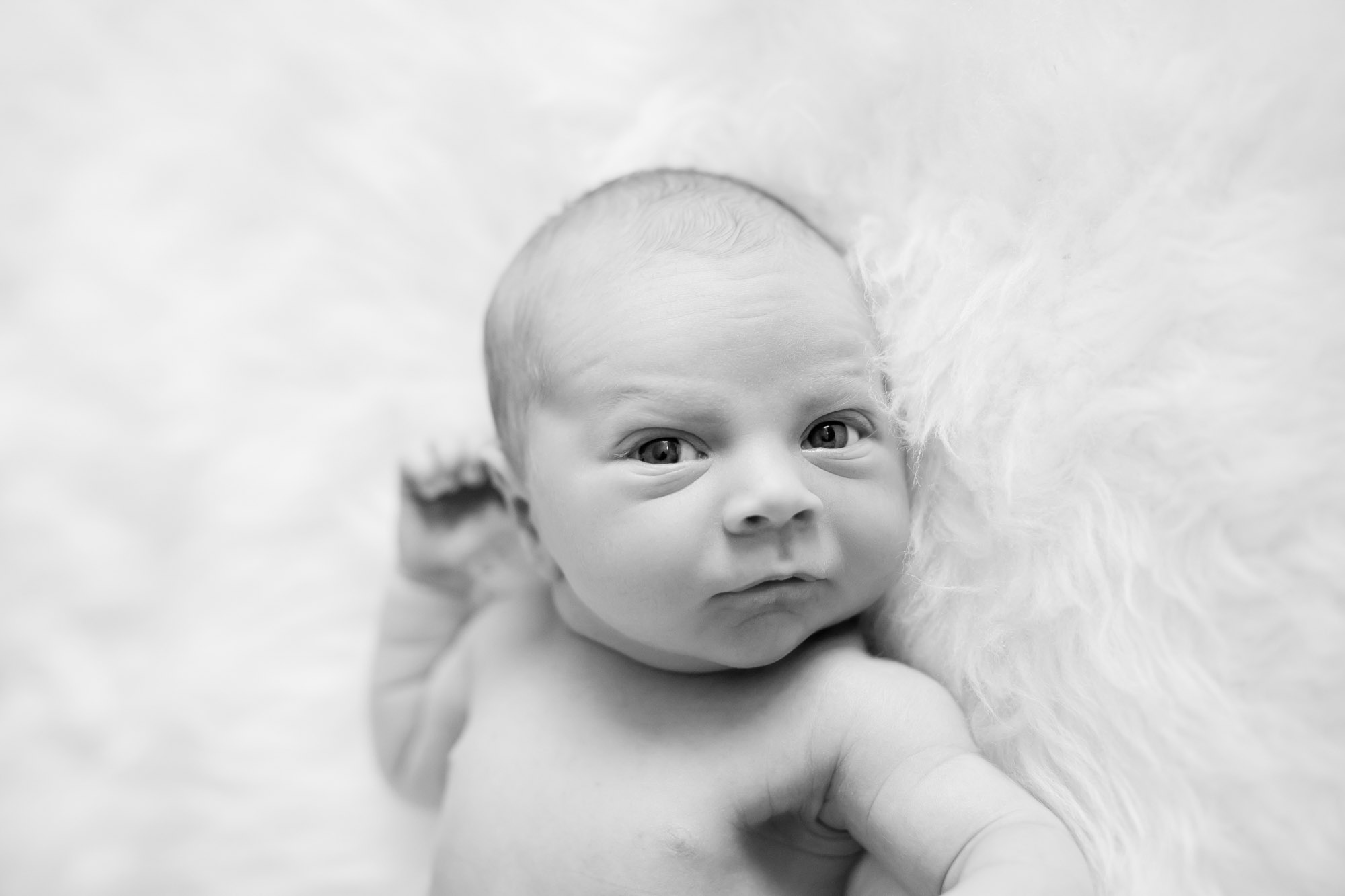 Snoqualmie WA newborn photography session by James Thomas Long Photography