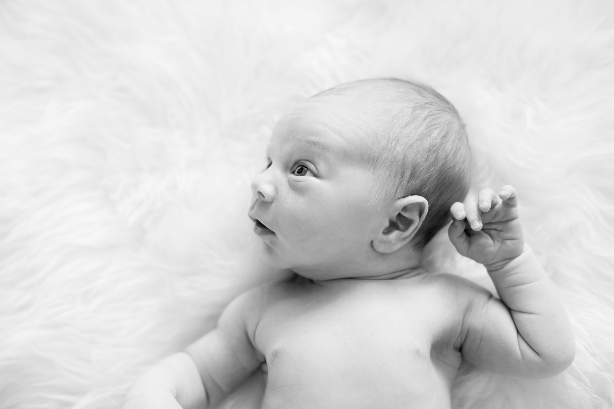 Snoqualmie WA newborn photography session by James Thomas Long Photography