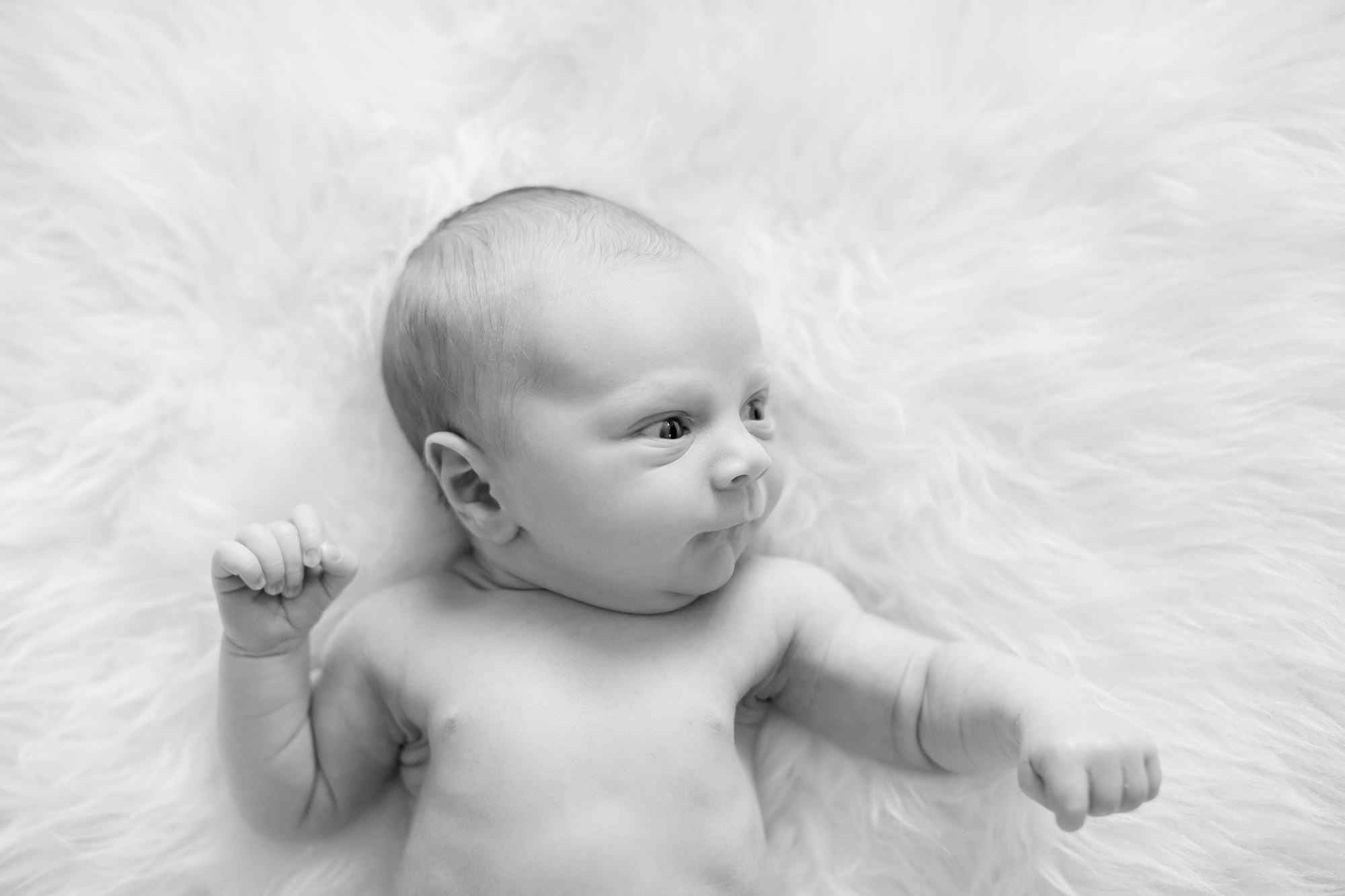 Snoqualmie WA newborn photography session by James Thomas Long Photography