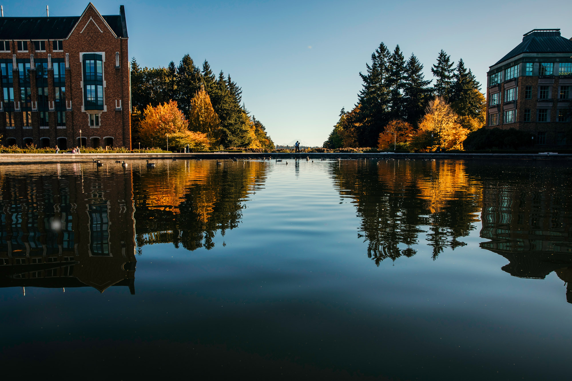 University of Washington engagement session by Seattle wedding photographer James Thomas Long Photography