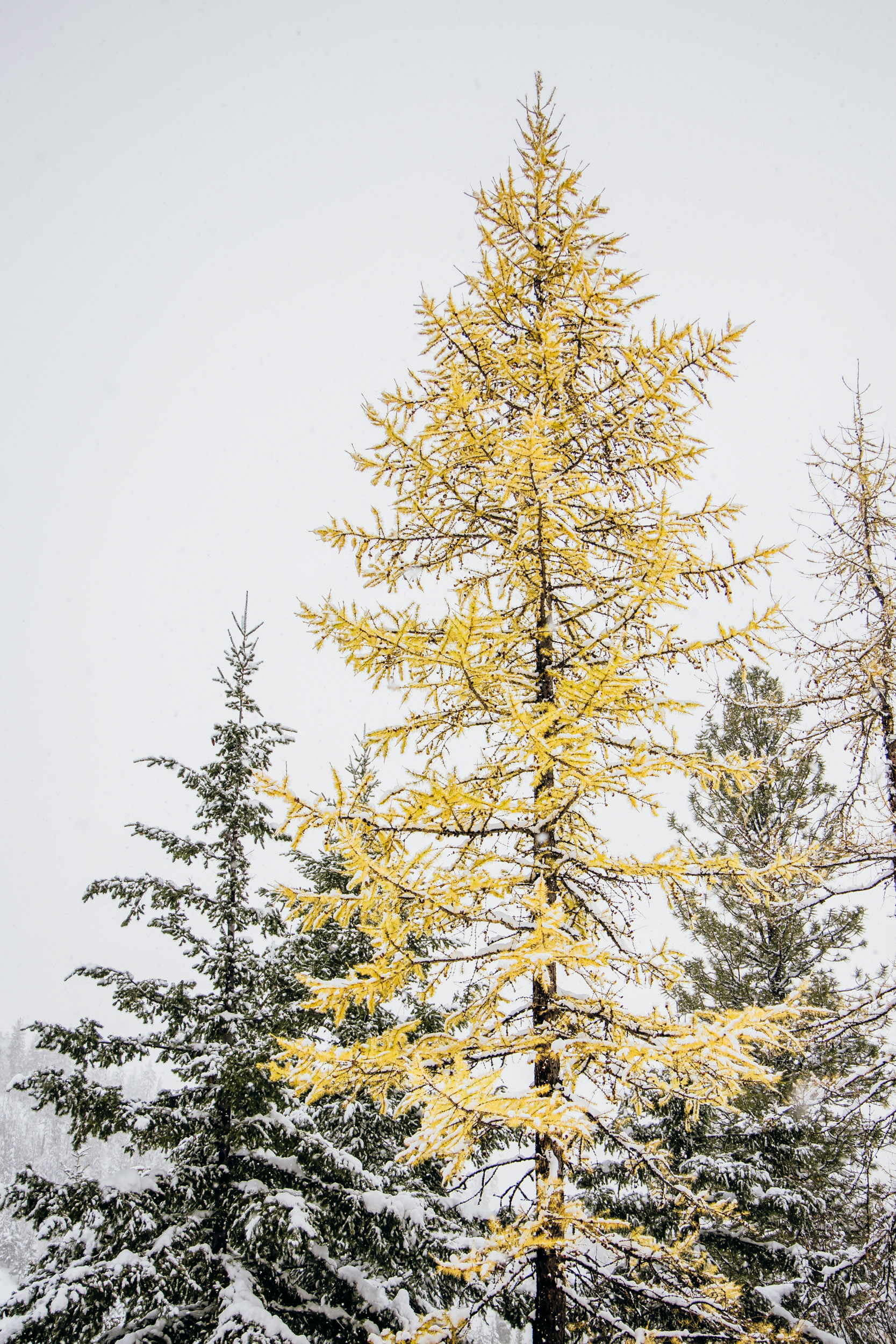 Adventure engagement session in the snow by Seattle wedding photographer James Thomas Long Photography