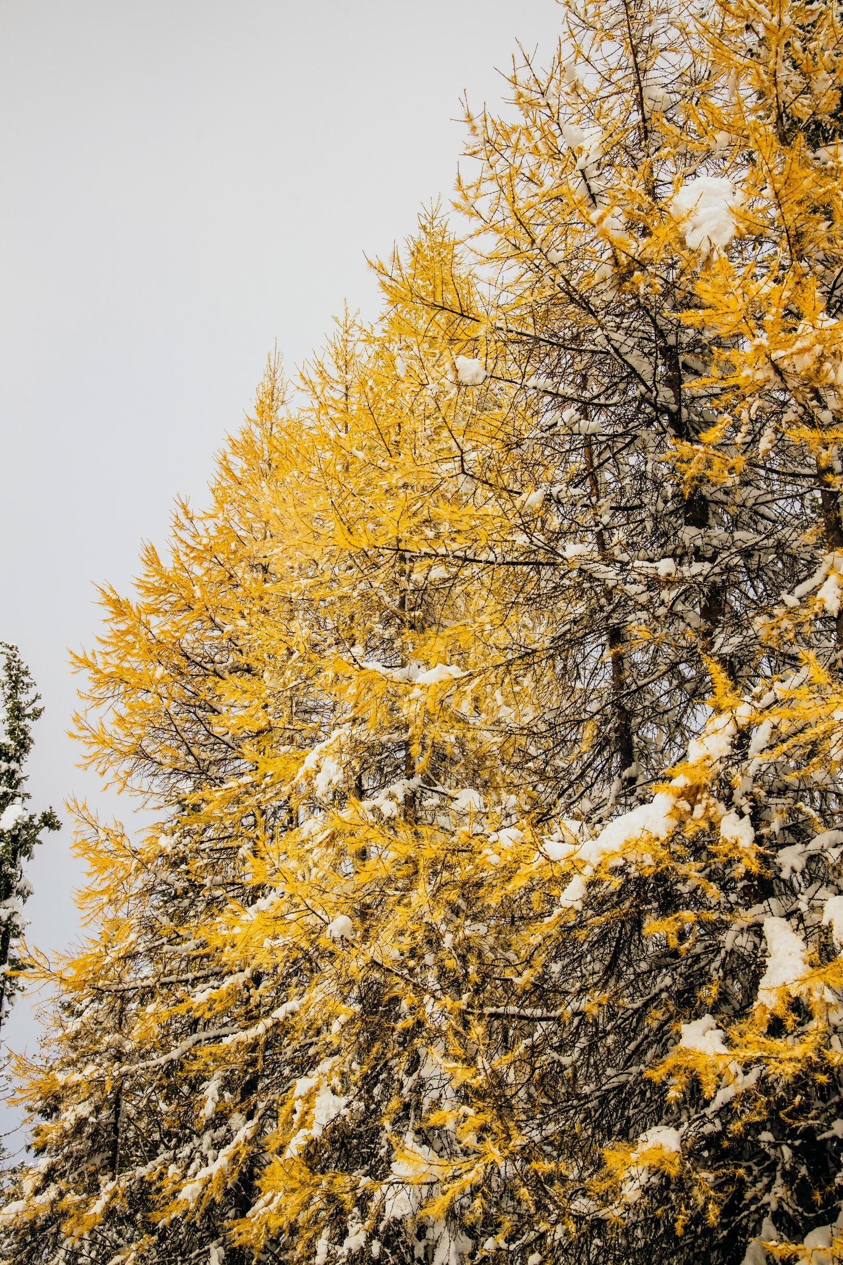 Adventure engagement session in the snow by Seattle wedding photographer James Thomas Long Photography