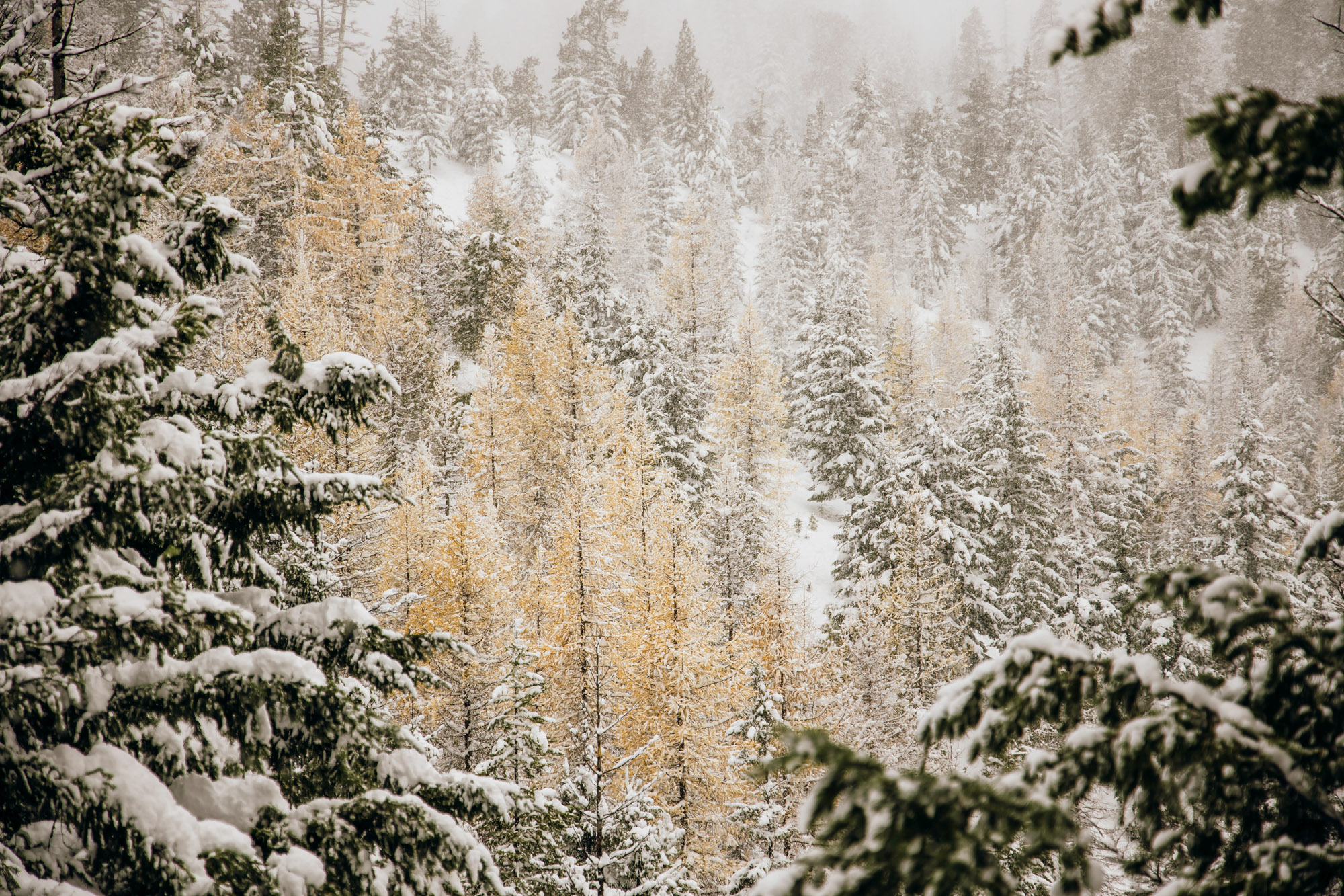 Adventure engagement session in the snow by Seattle wedding photographer James Thomas Long Photography