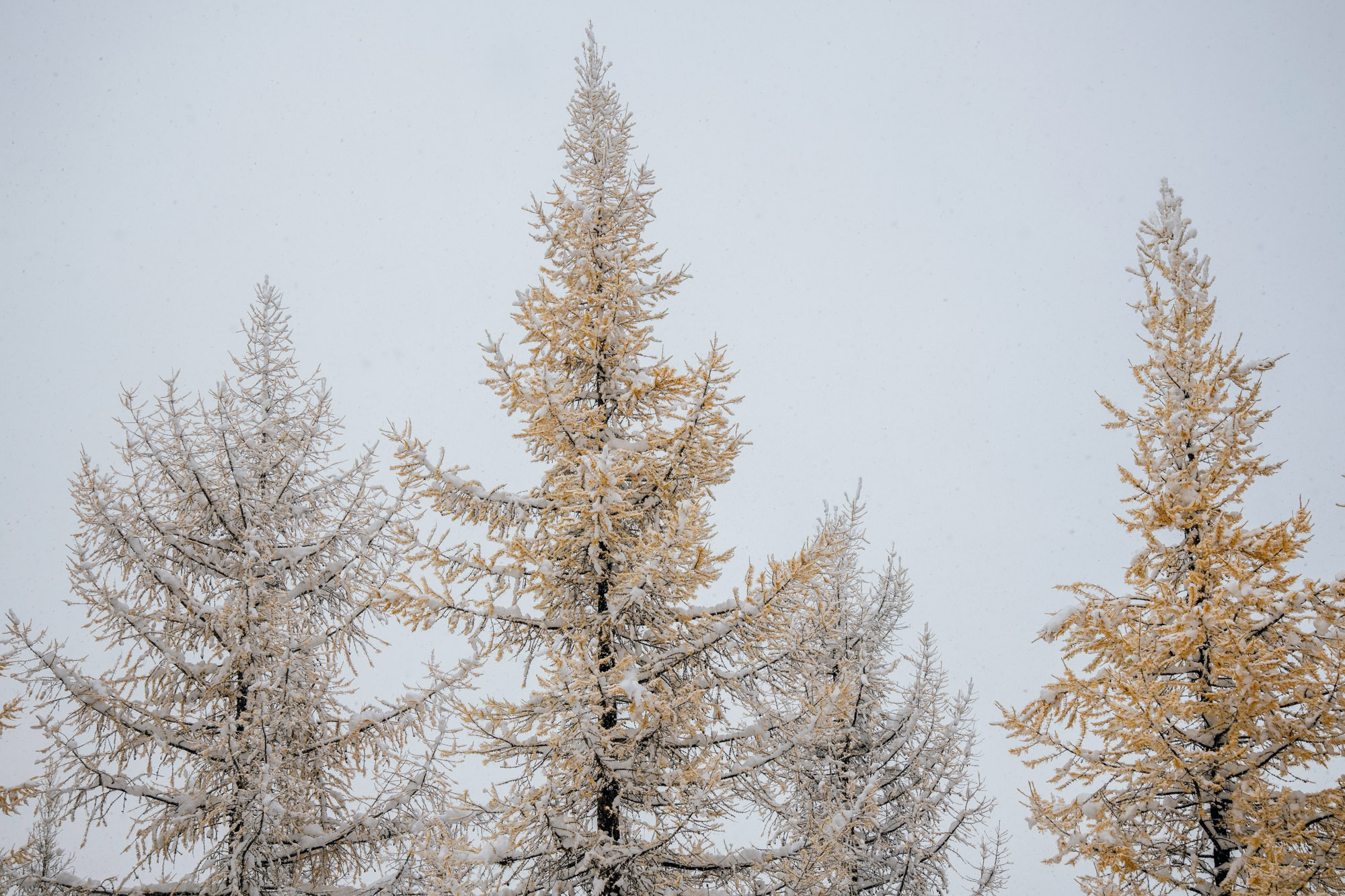 Adventure engagement session in the snow by Seattle wedding photographer James Thomas Long Photography