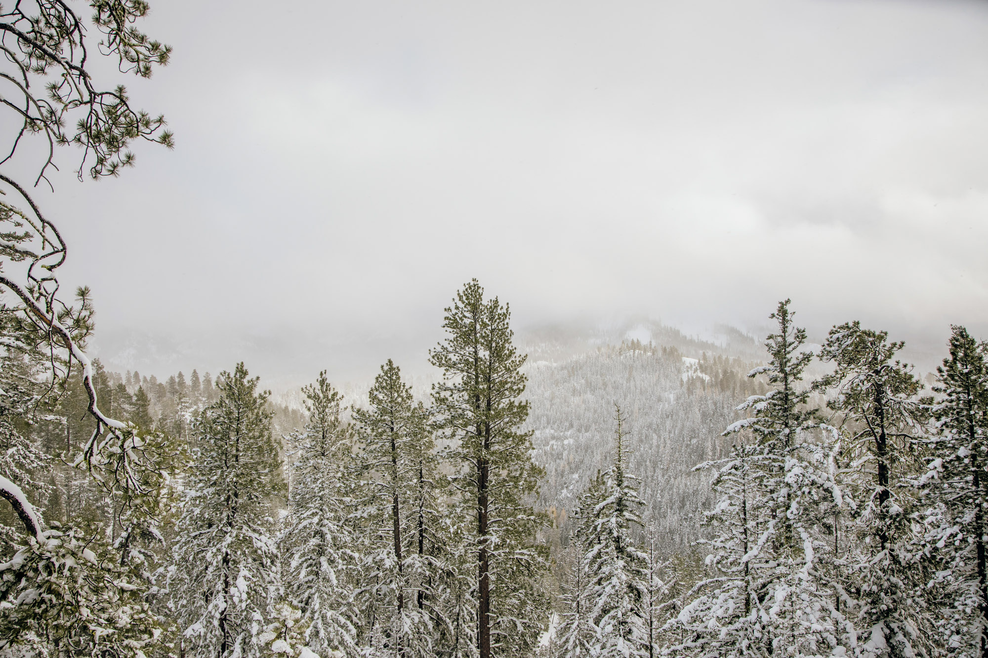 Adventure engagement session in the snow by Seattle wedding photographer James Thomas Long Photography