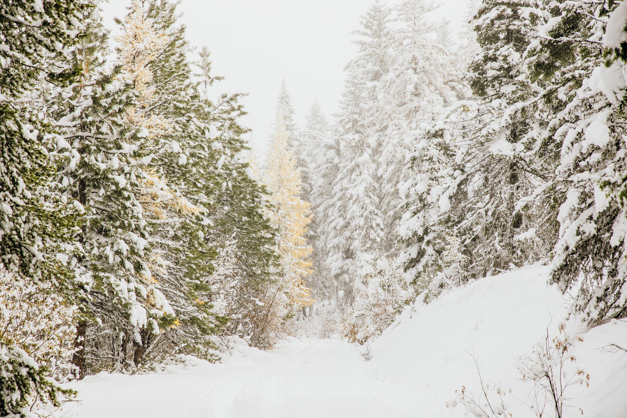 Adventure engagement session in the snow by Seattle wedding photographer James Thomas Long Photography