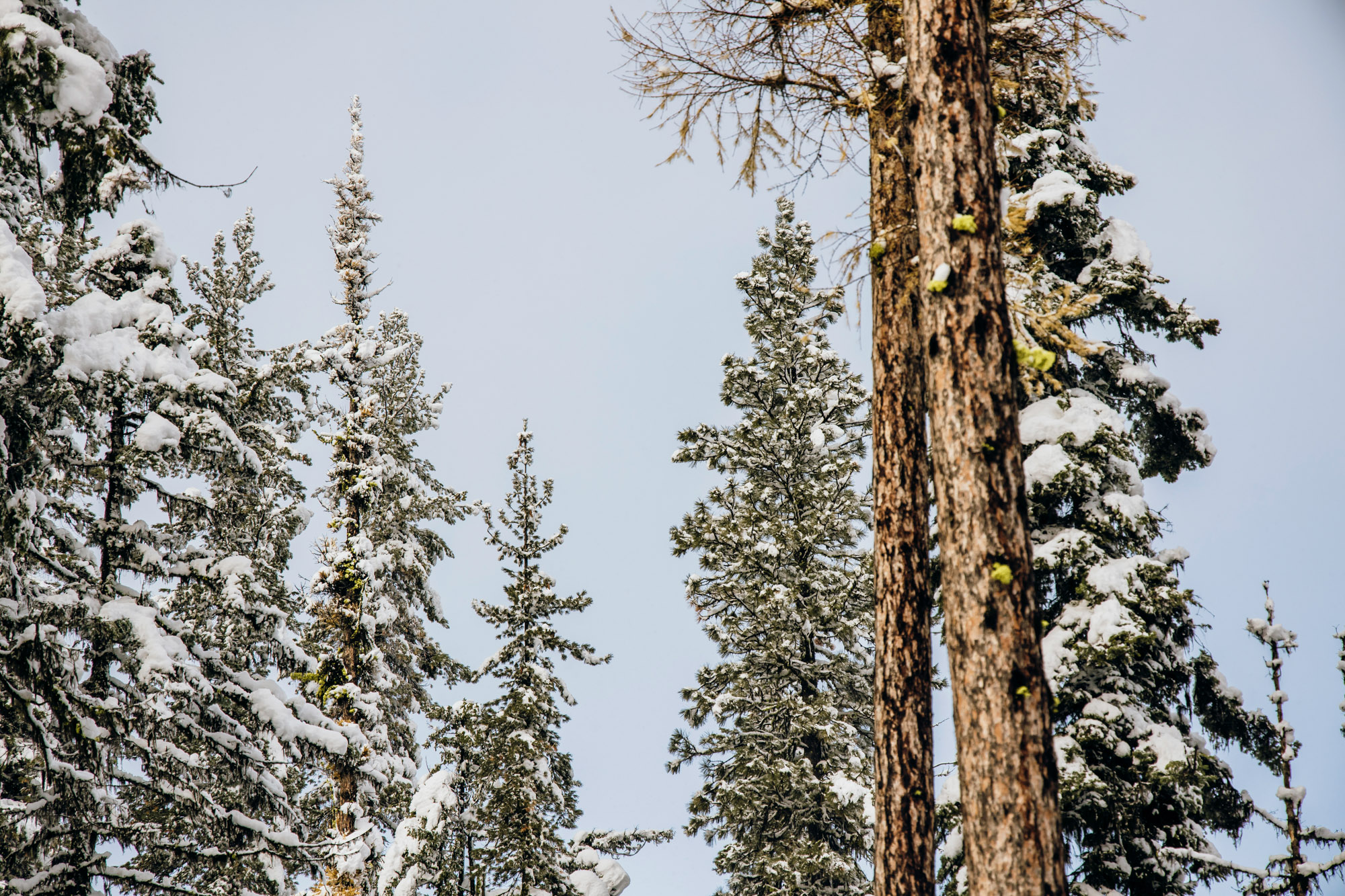 Adventure engagement session in the snow by Seattle wedding photographer James Thomas Long Photography