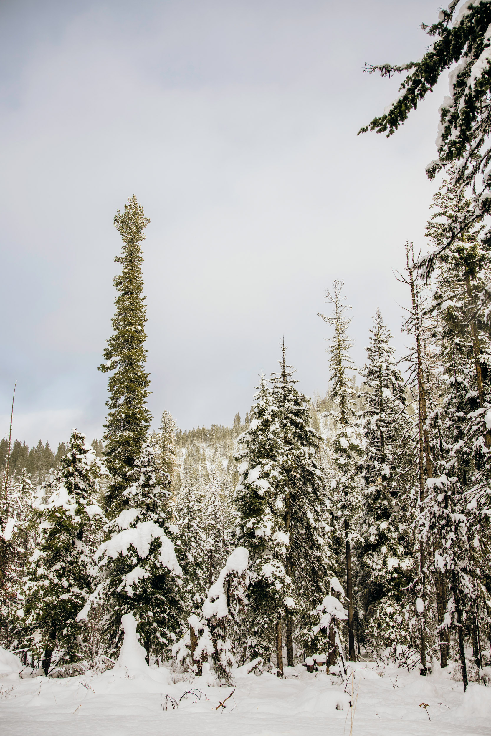 Adventure engagement session in the snow by Seattle wedding photographer James Thomas Long Photography