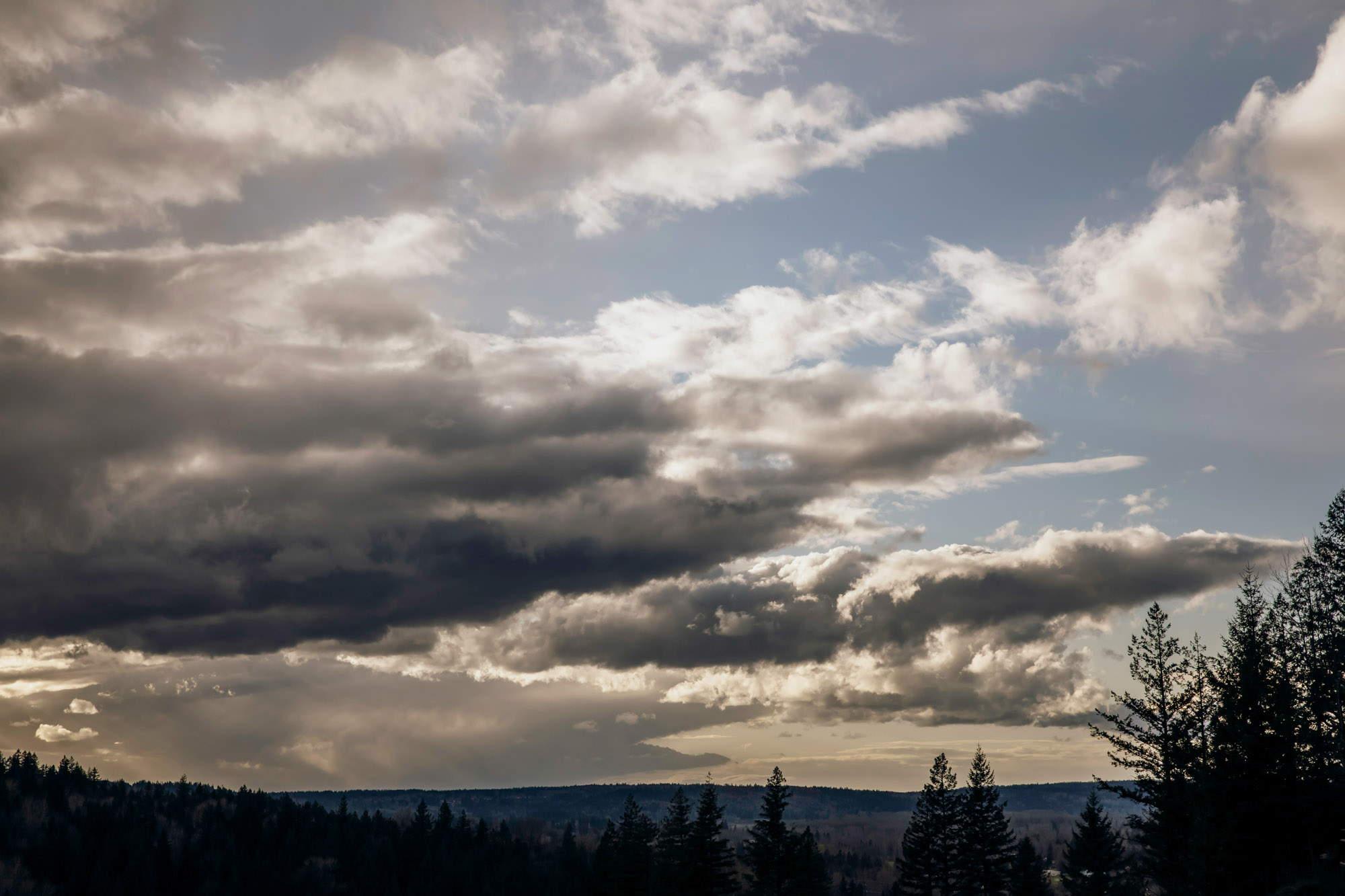 Salish Lodge Snoqualmie Falls wedding by Seattle Wedding Photographer James Thomas Long Photography