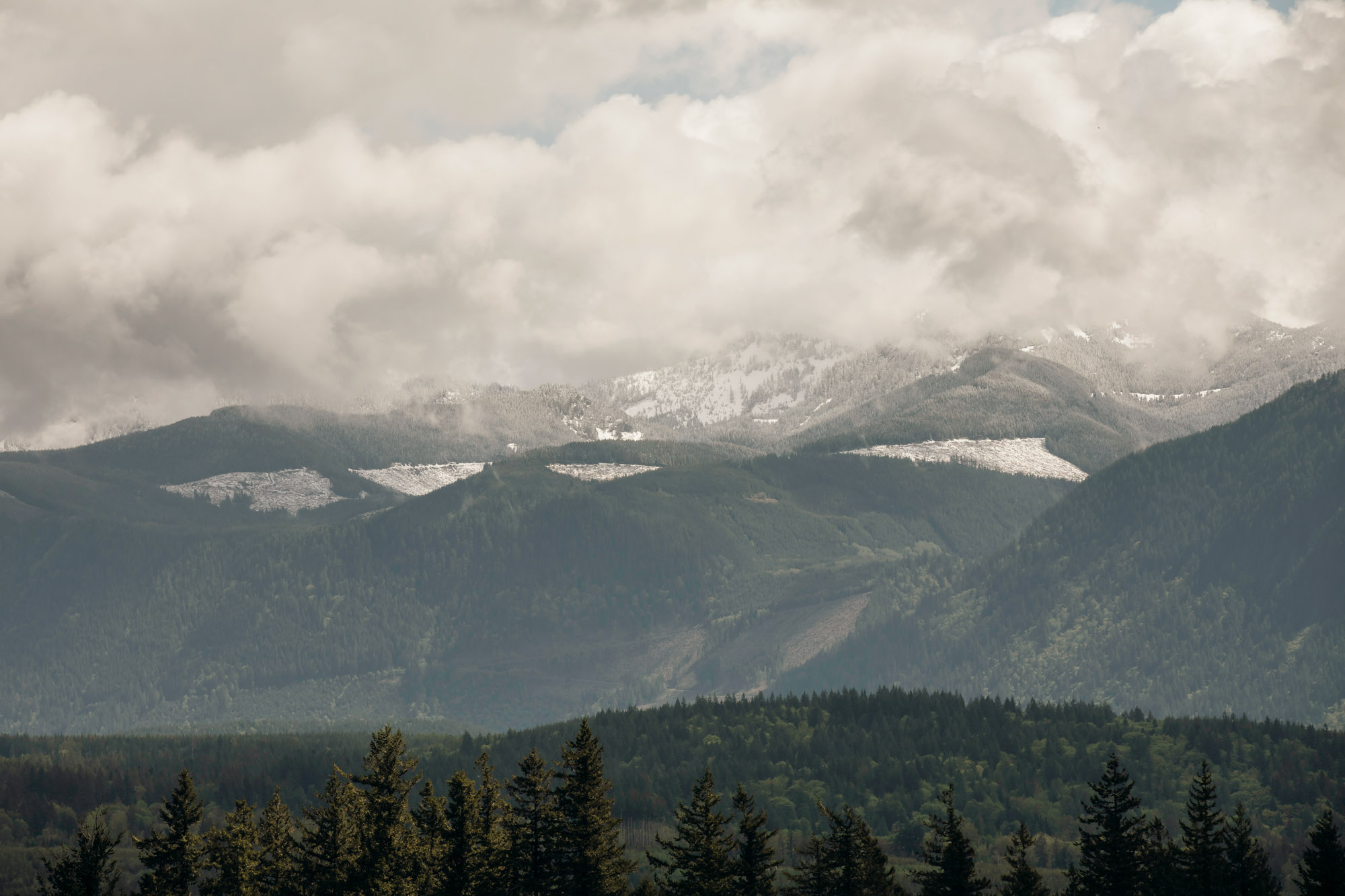 The Club at Snoqualmie Ridge wedding by Snoqualmie Wedding Photographer James Thomas Long Photography